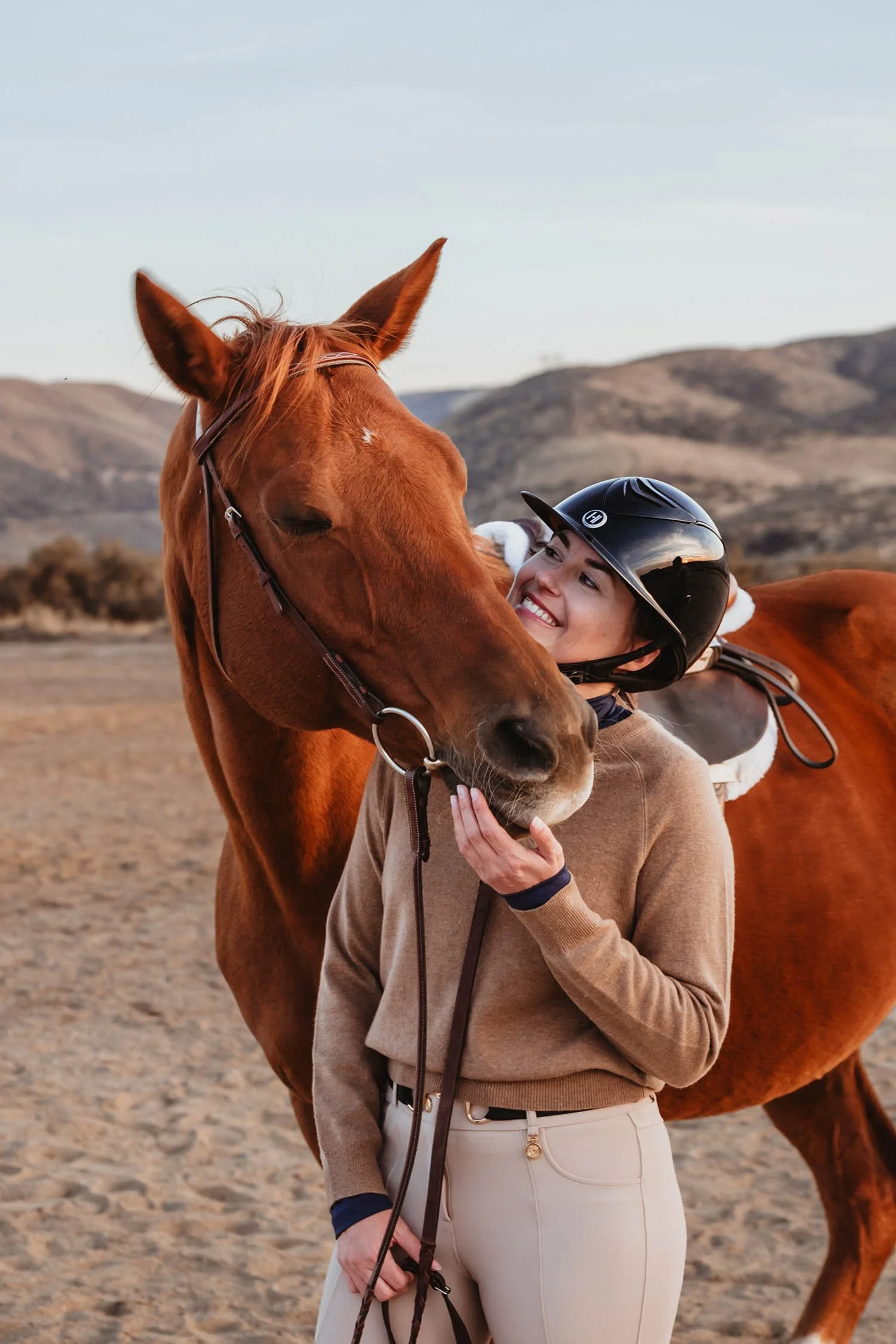 Getting to Know Josie the Chestnut Hanoverian Mare | Cotton Cashmere Cat Hair