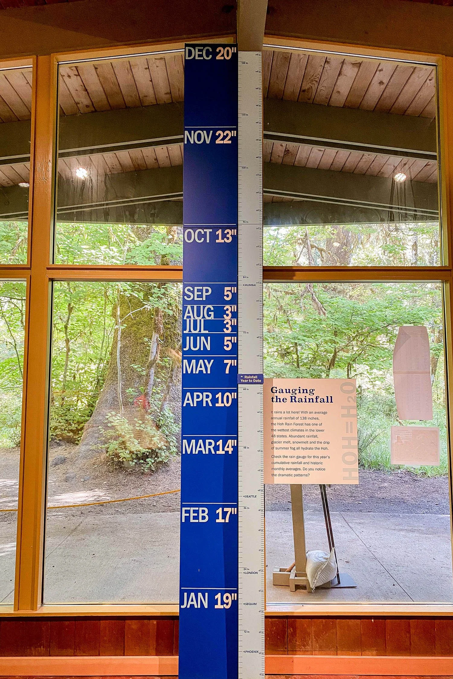 Average annual rainfall at Hoh Rain Forest, Olympic National Park | Cotton Cashmere Cat Hair