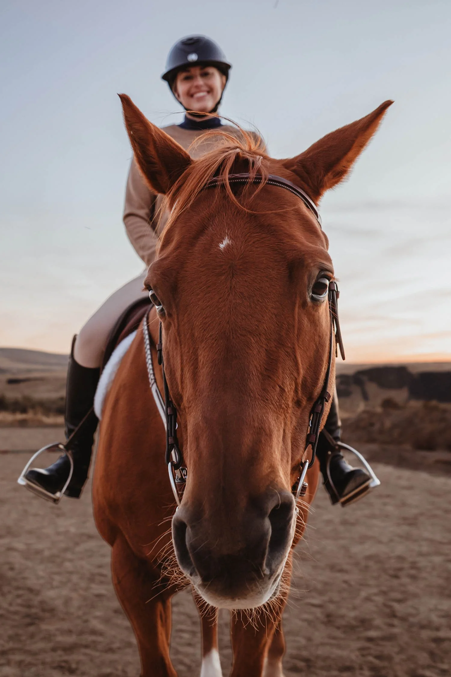 Riding Josie the Chestnut Hanoverian Mare | Cotton Cashmere Cat Hair