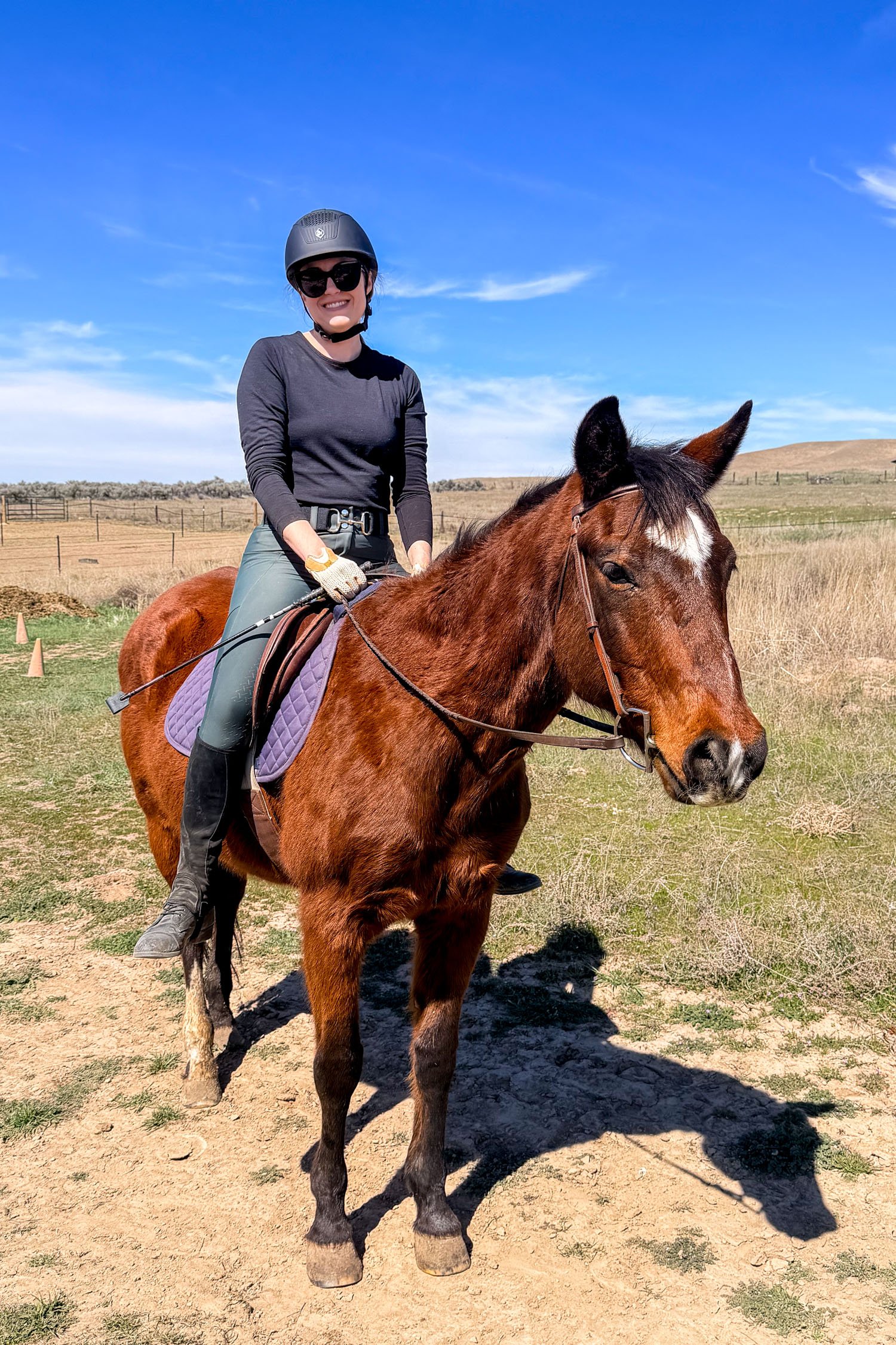 No-stirrup Riding Lesson on Heidi | Cotton Cashmere Cat Hair