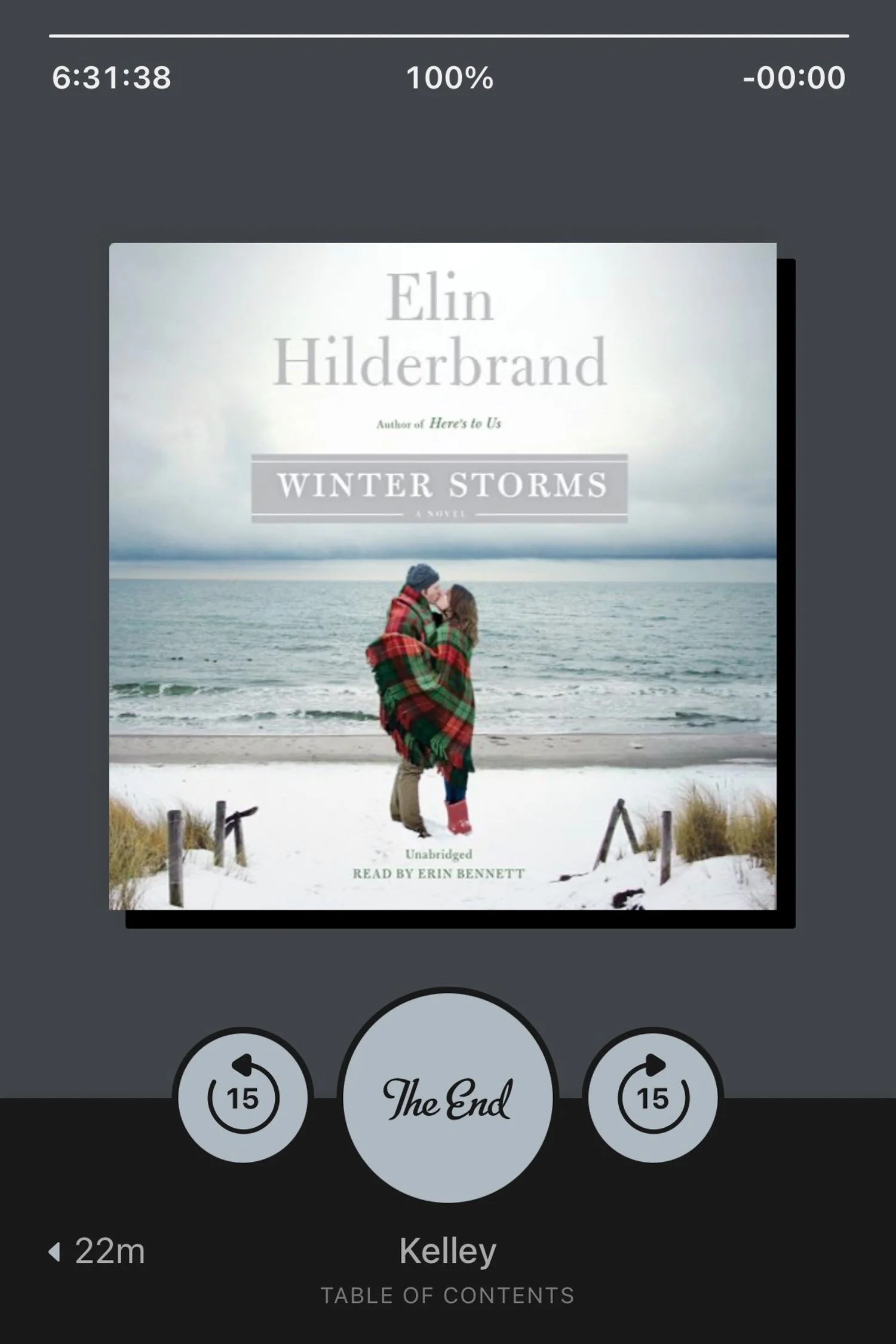 Book recommendation: Winter Storms by Elin Hilderbrand | Cotton Cashmere Cat Hair