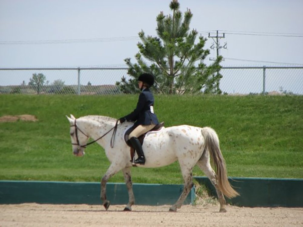 Surprise the Appaloosa in the Hunt Seat Equitation | Cotton Cashmere Cat Hair