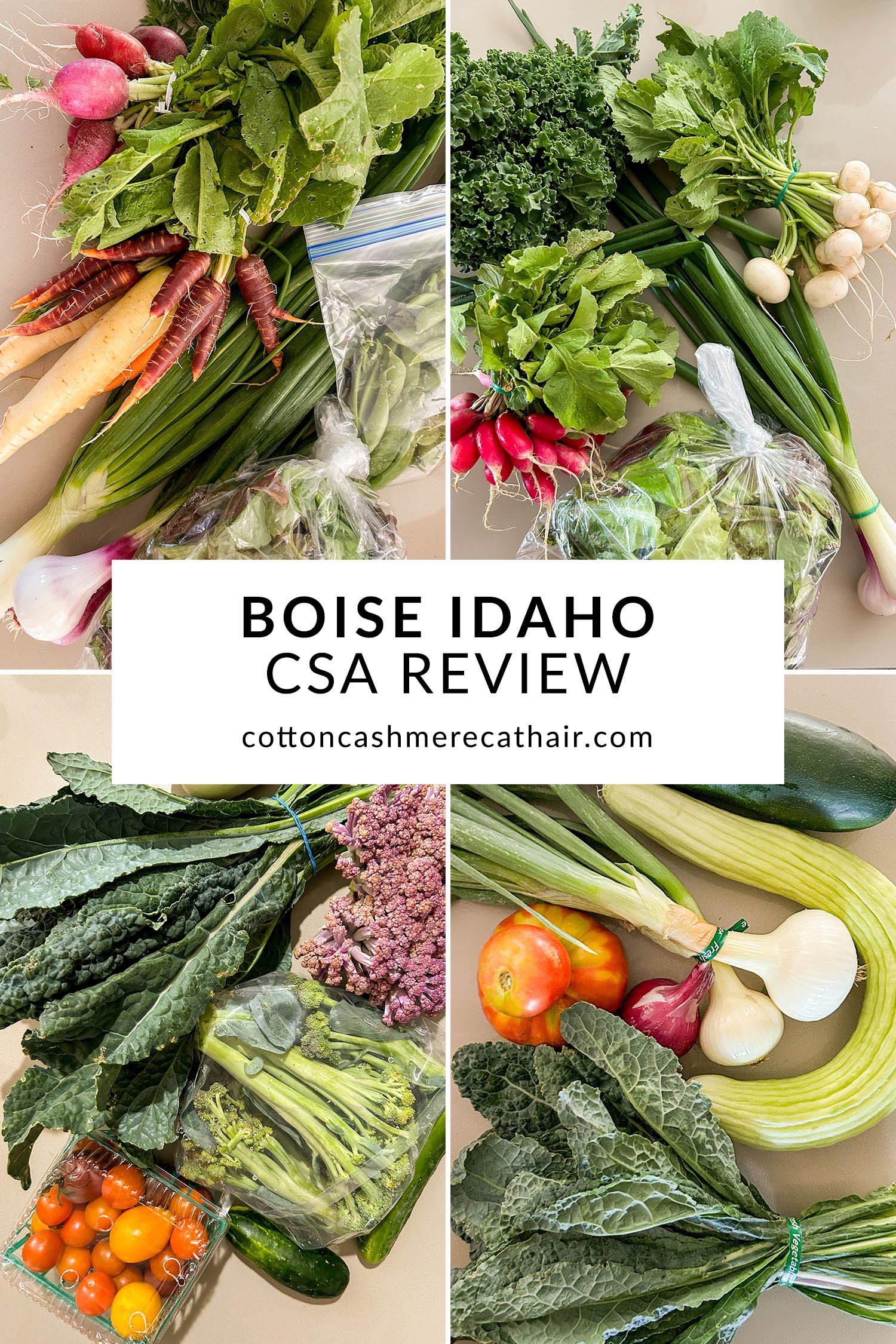 Boise Idaho CSA Review | Cotton Cashmere Cat Hair