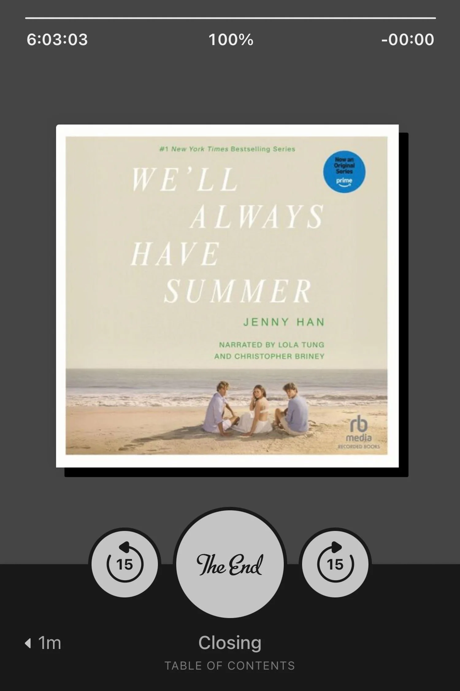 Book recommendation: We'll Always Have Summer by Jenny Han | Cotton Cashmere Cat Hair