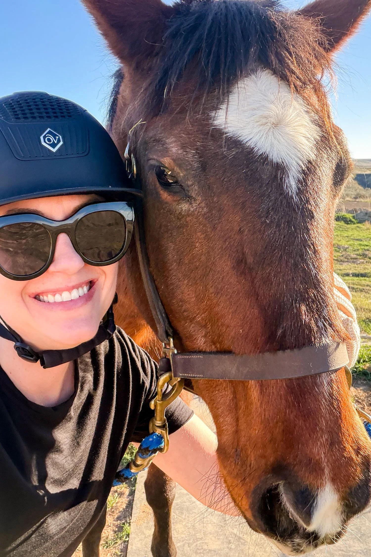 Lesson in Warm Spring Weather | Cotton Cashmere Cat Hair