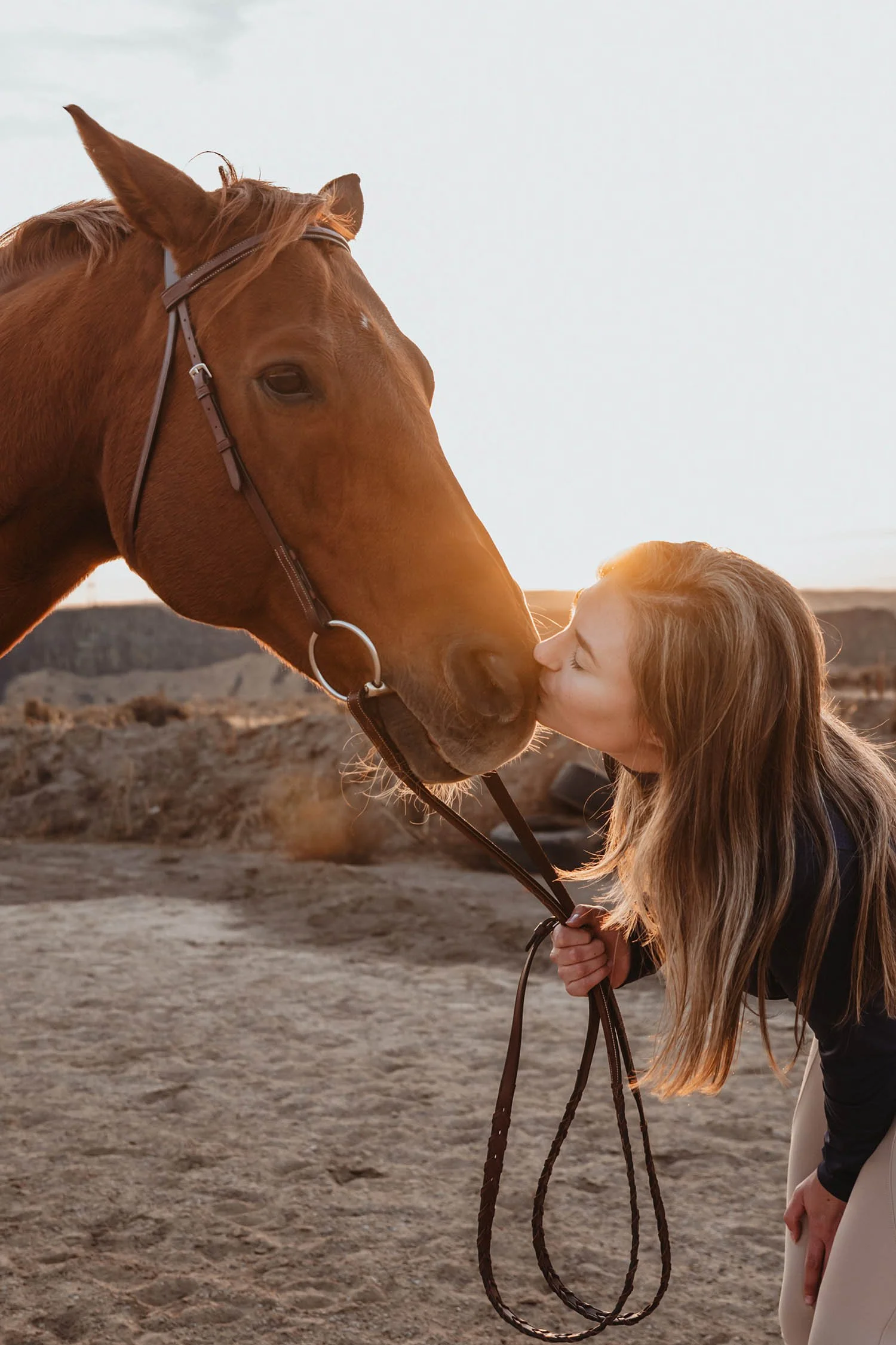 Kisses for Josie the Chestnut Hanoverian Mare | Cotton Cashmere Cat Hair