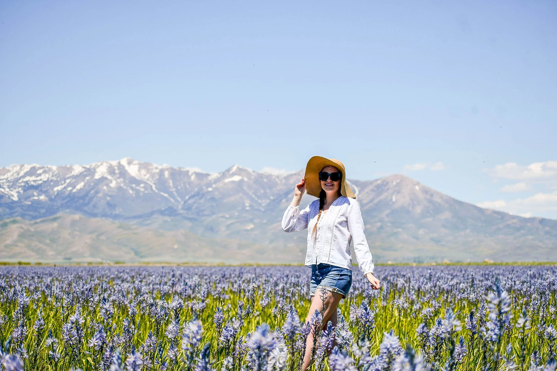 Idaho must-see: Spring wildflower bloom at Camas Prairie Centennial Marsh | Cotton Cashmere Cat Hair