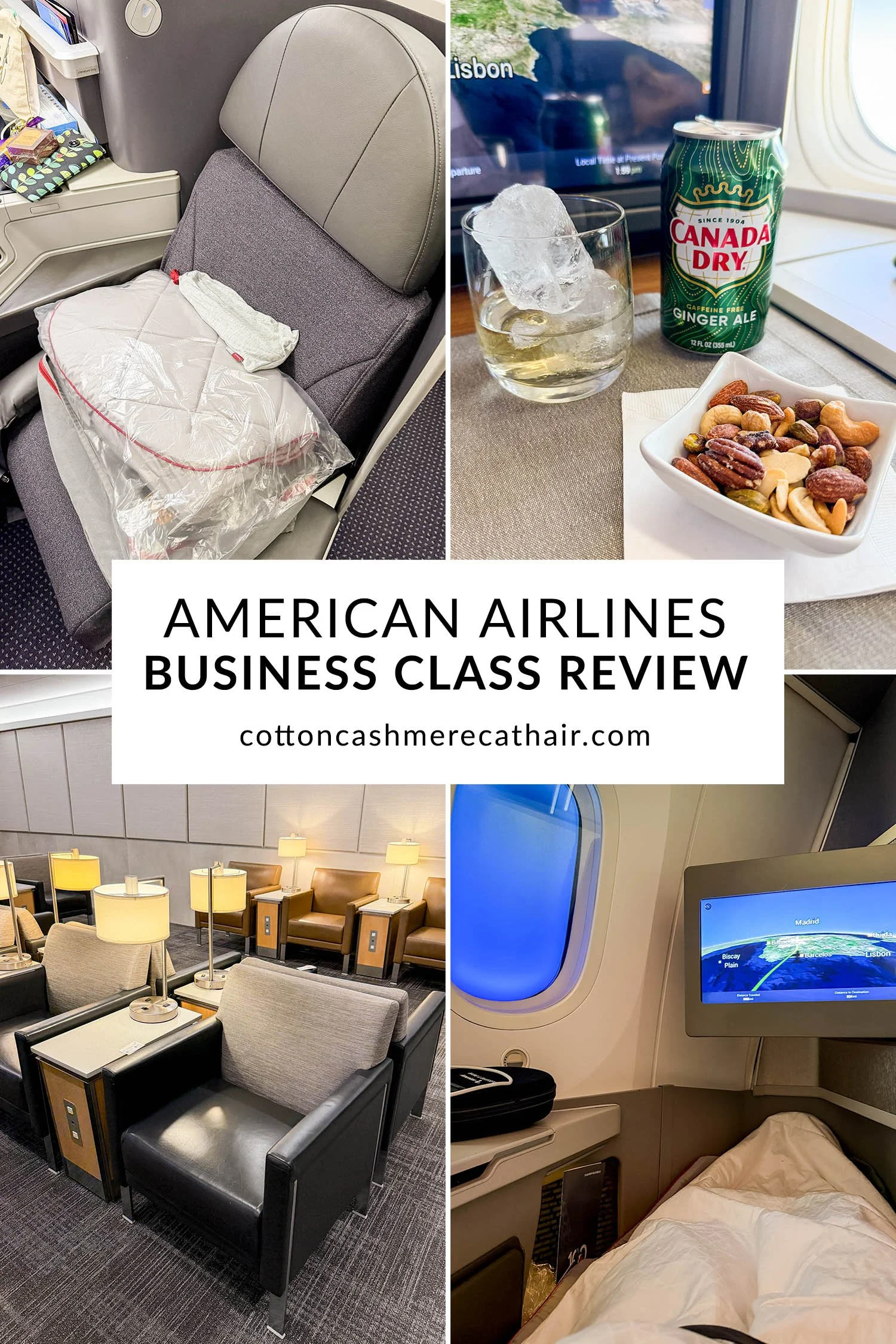 American Airlines Business Class Review | Cotton Cashmere Cat Hair