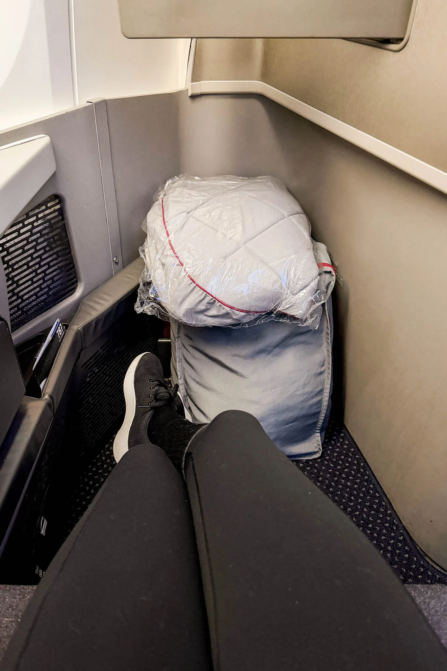 American Airlines Business Class Space | Cotton Cashmere Cat Hair
