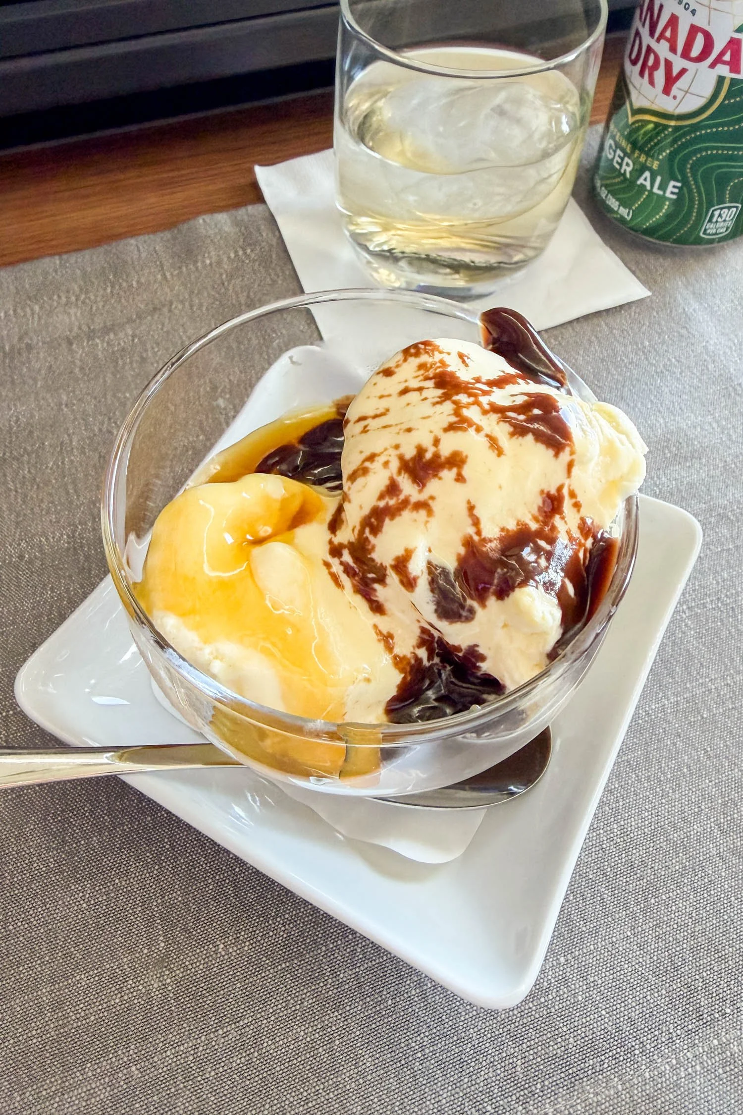 American Airlines MAD DFW Business Class Dessert: Ice Cream Sundae | Cotton Cashmere Cat Hair