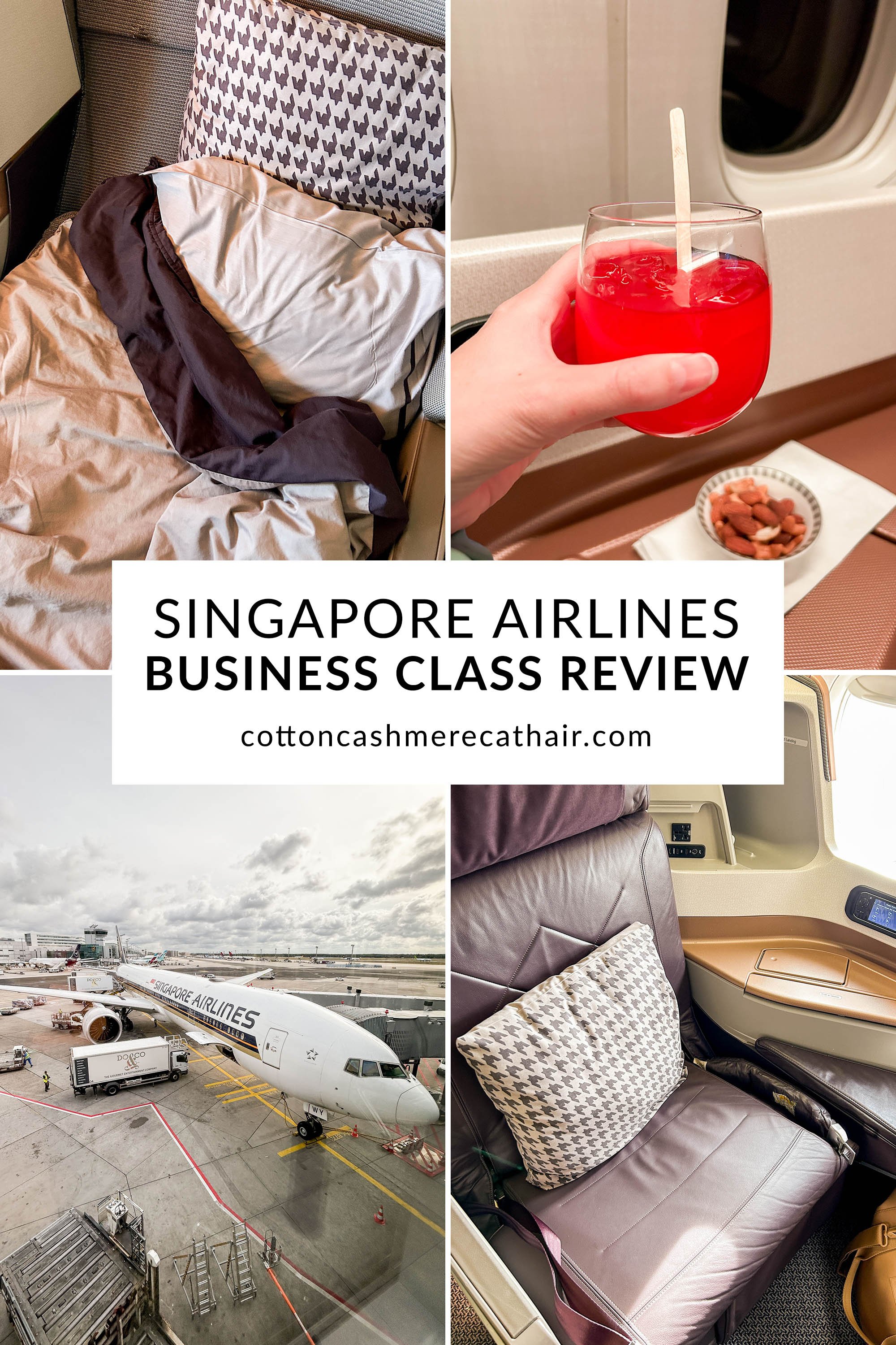 https://images.squarespace-cdn.com/content/v1/551c15cae4b07646122e7048/ca9108e3-edd0-4190-9357-03cd47fa69de/Singapore+Airlines+Business+Class+Review%3A+JFK+FRA+777+300-ER+%7C+Cotton+Cashmere+Cat+Hair