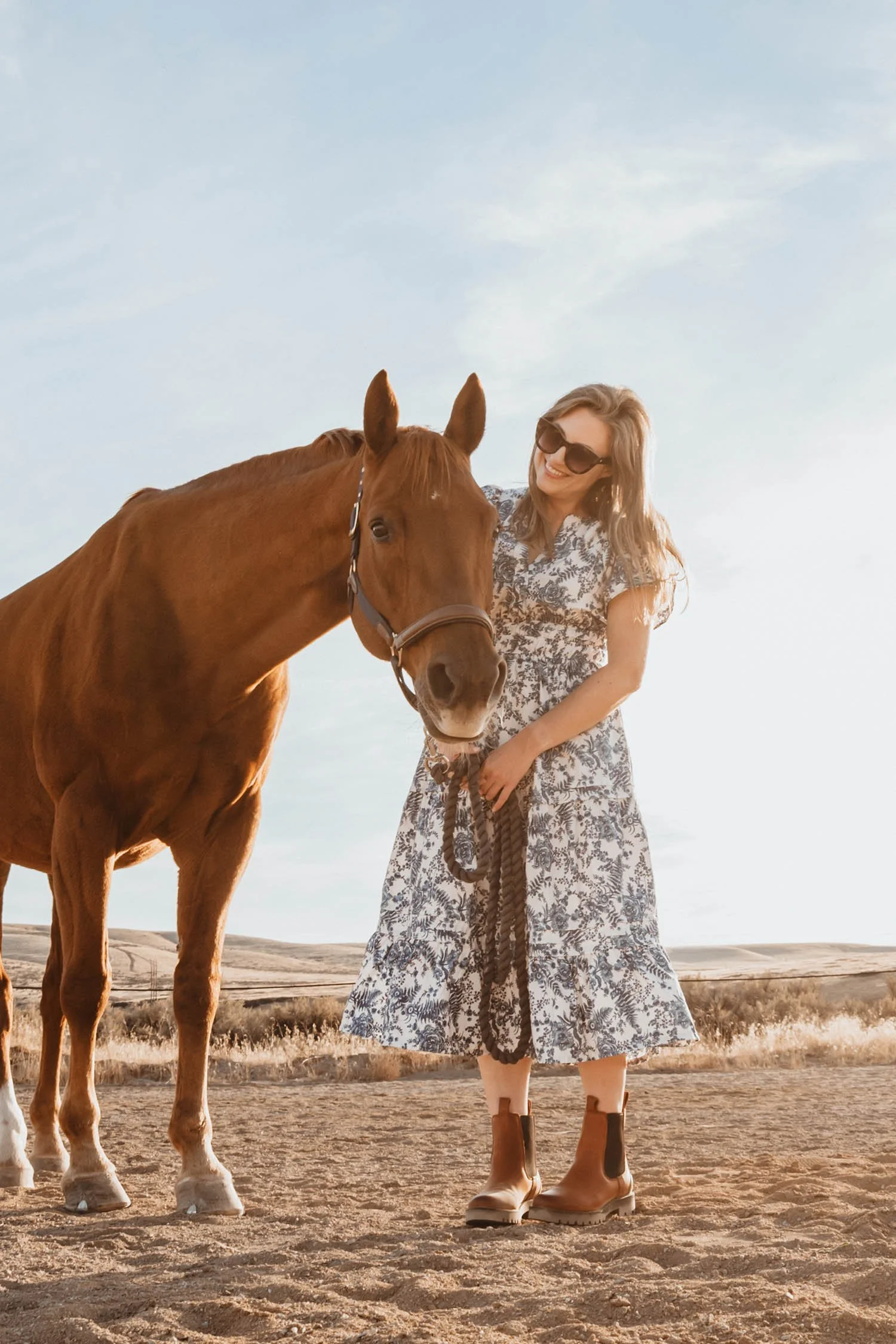 Josie the Chestnut Hanoverian Mare | Cotton Cashmere Cat Hair