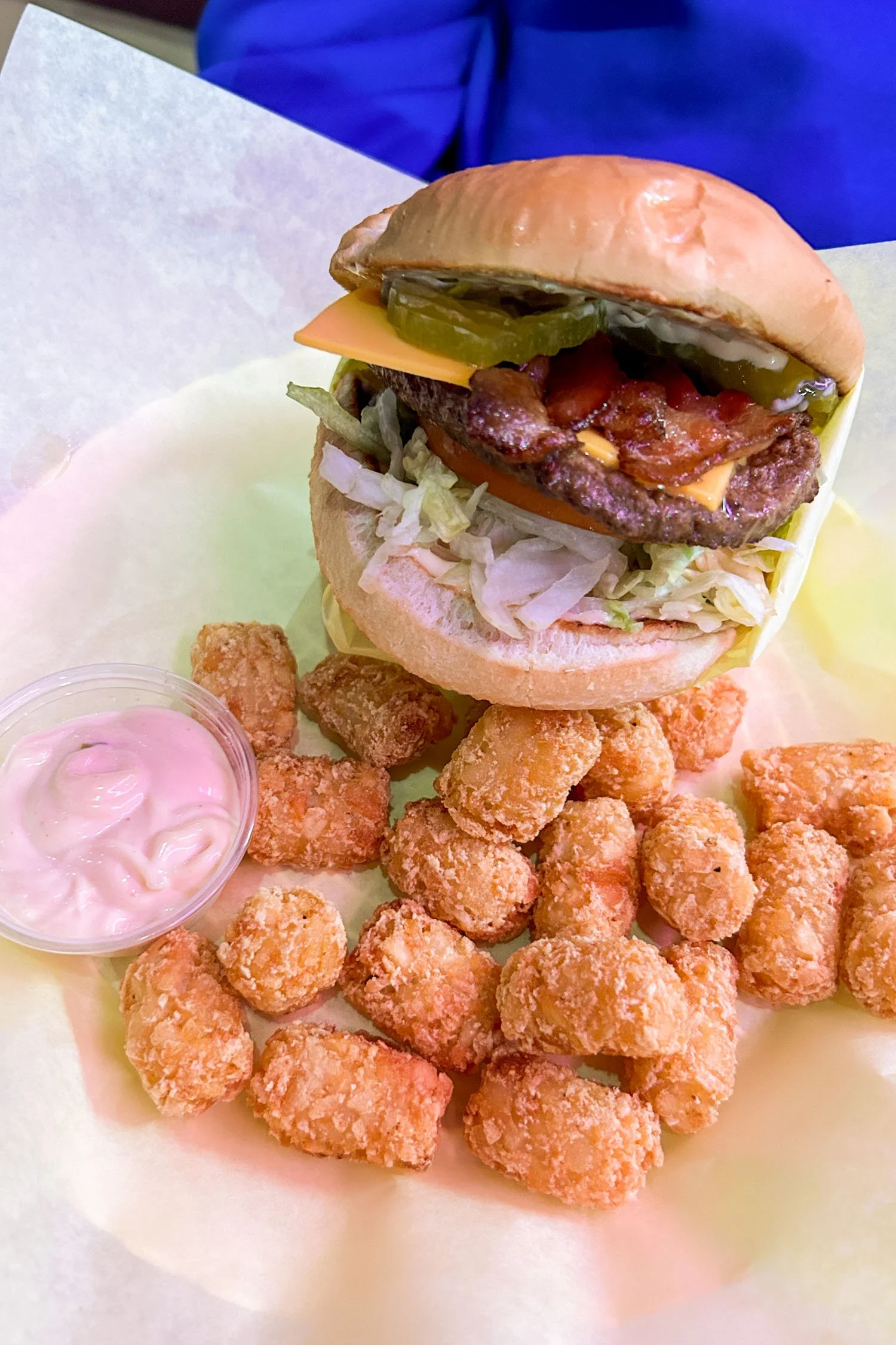 Best Burgers in Boise: Burger Belly | Cotton Cashmere Cat Hair
