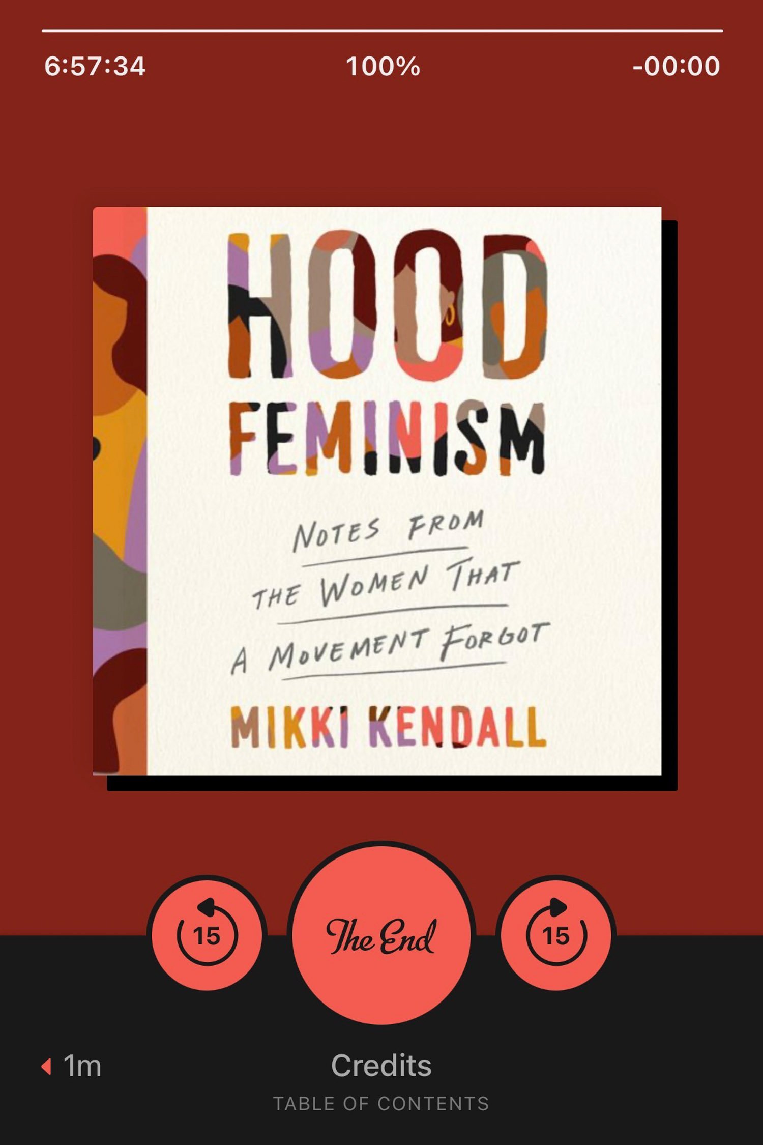 Book recommendation: Hood Feminism by Mikki Kendall | Cotton Cashmere Cat Hair