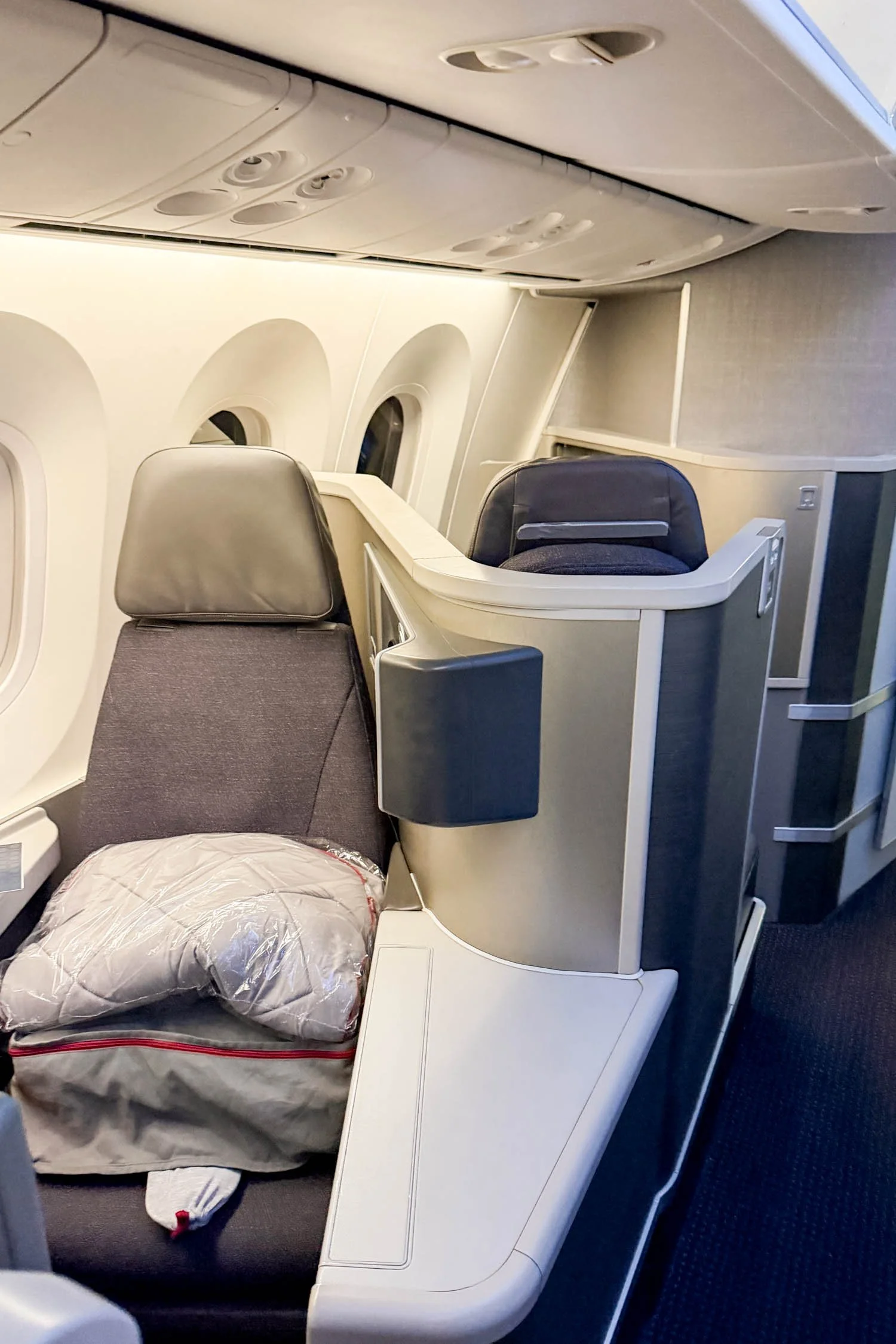 American Airlines 787 Dreamliner Business Class Seats | Cotton Cashmere Cat Hair