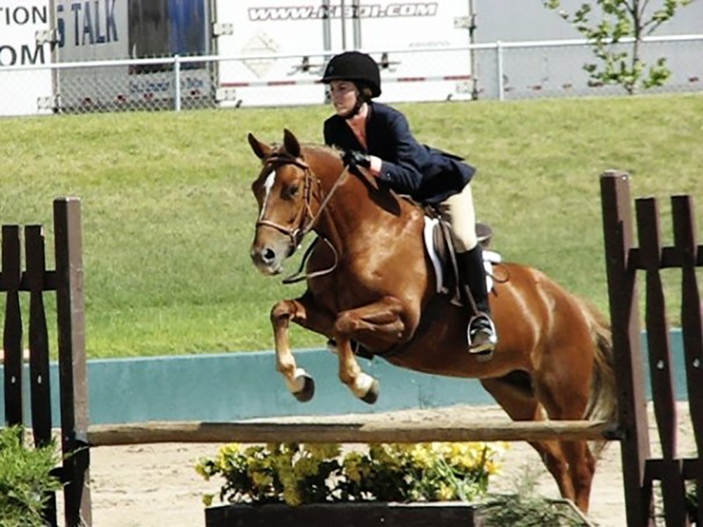 Amira the Pony in the Hunters Over Fences | Cotton Cashmere Cat Hair