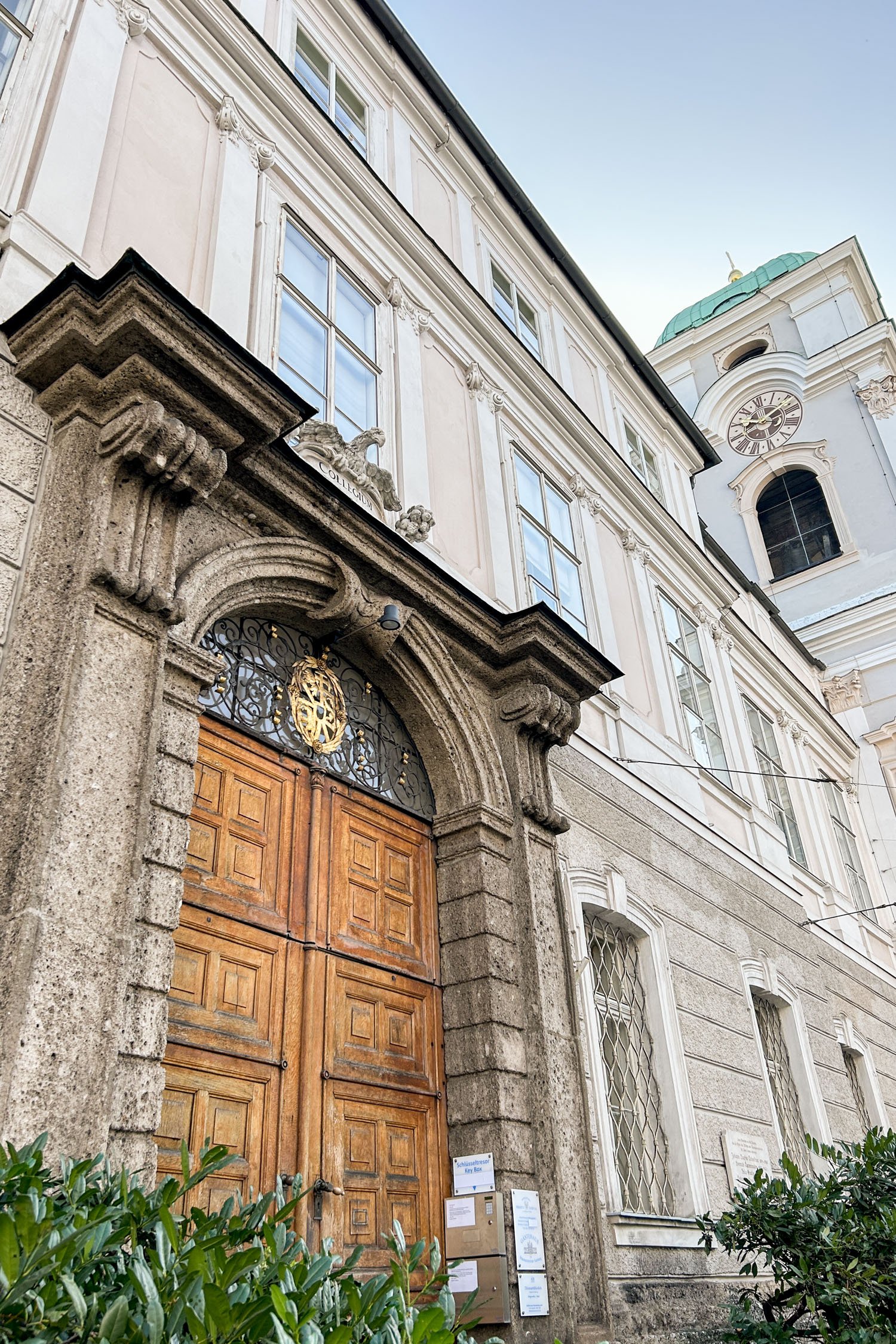 Guest House in the Salzburg Seminary | Cotton Cashmere Cat Hair