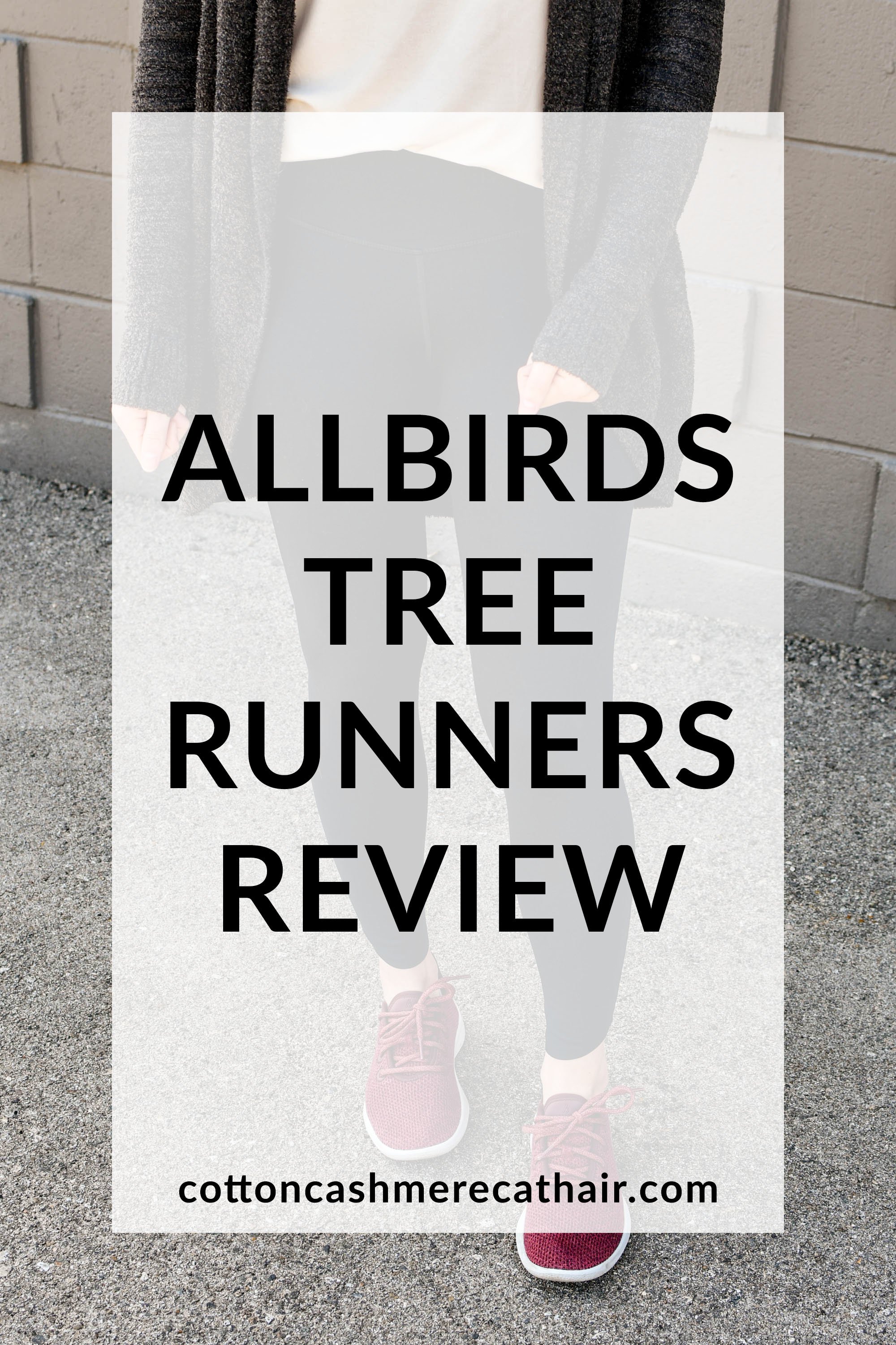 Allbirds Tree Runners Review