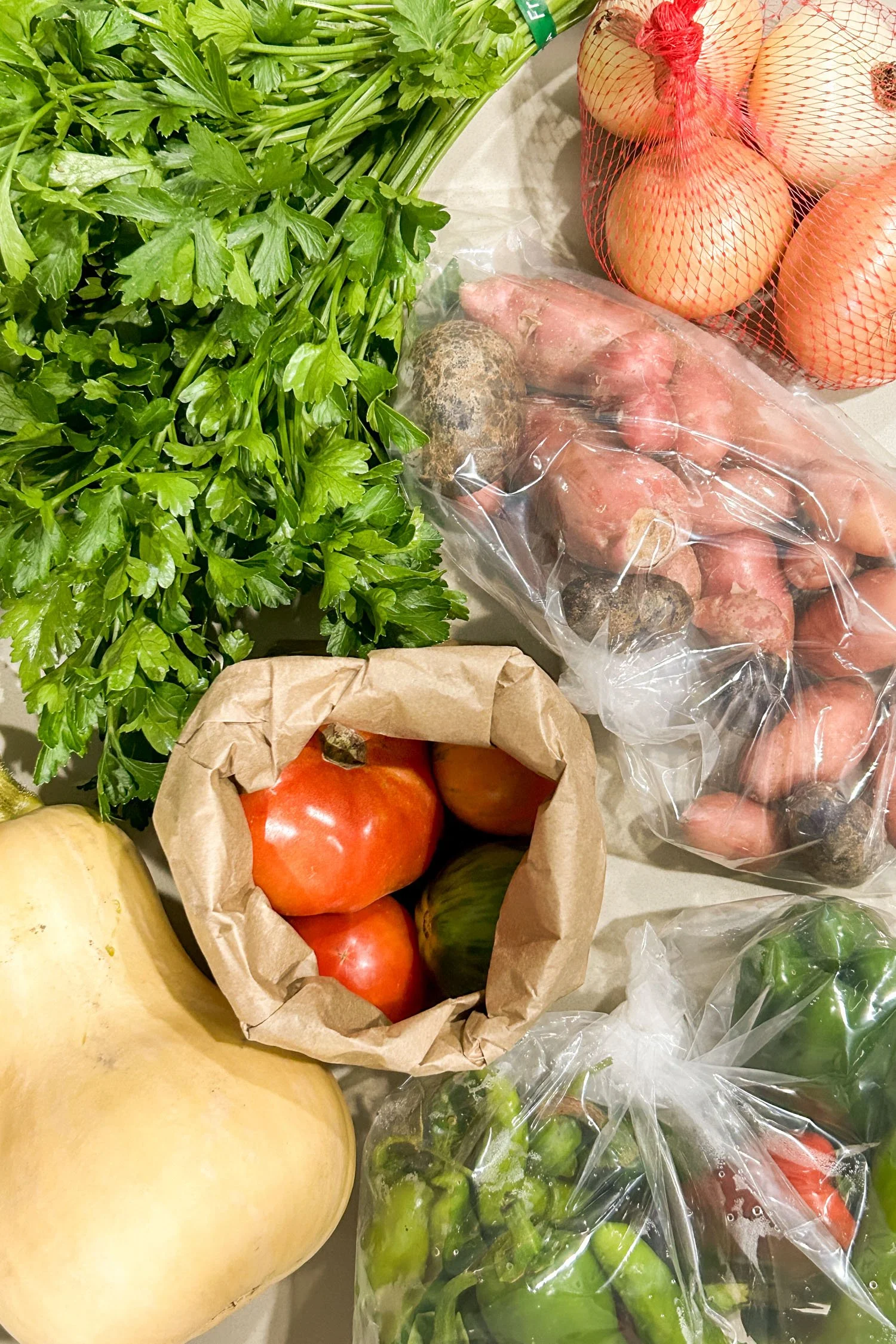 Best CSA in Boise, Idaho | Cotton Cashmere Cat Hair