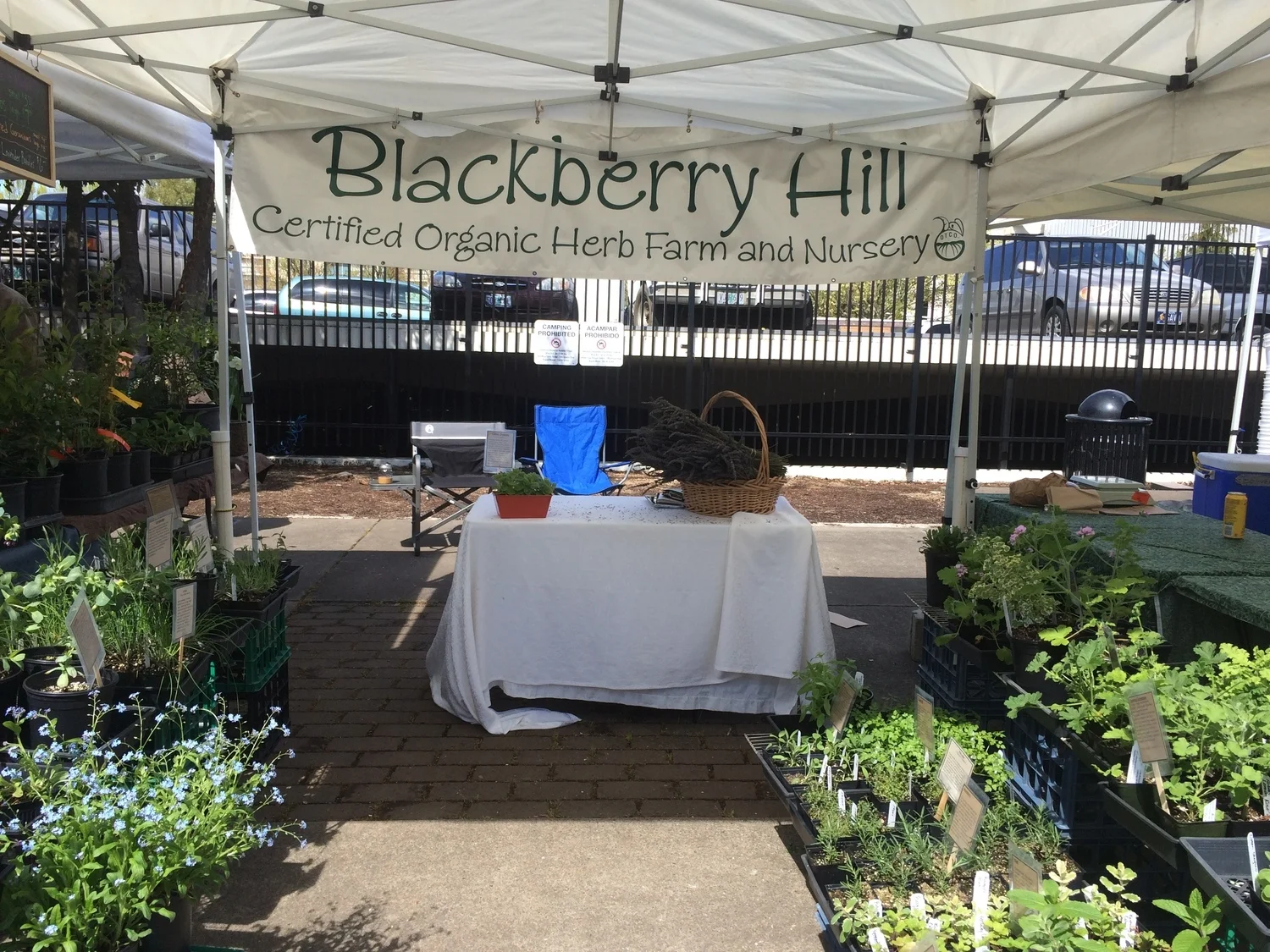 It's time for another Saturday Market-come by and say HI!