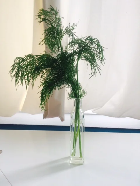 WE LOVE DILL!!!!
