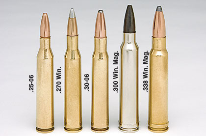 30-06 family compared to magnums