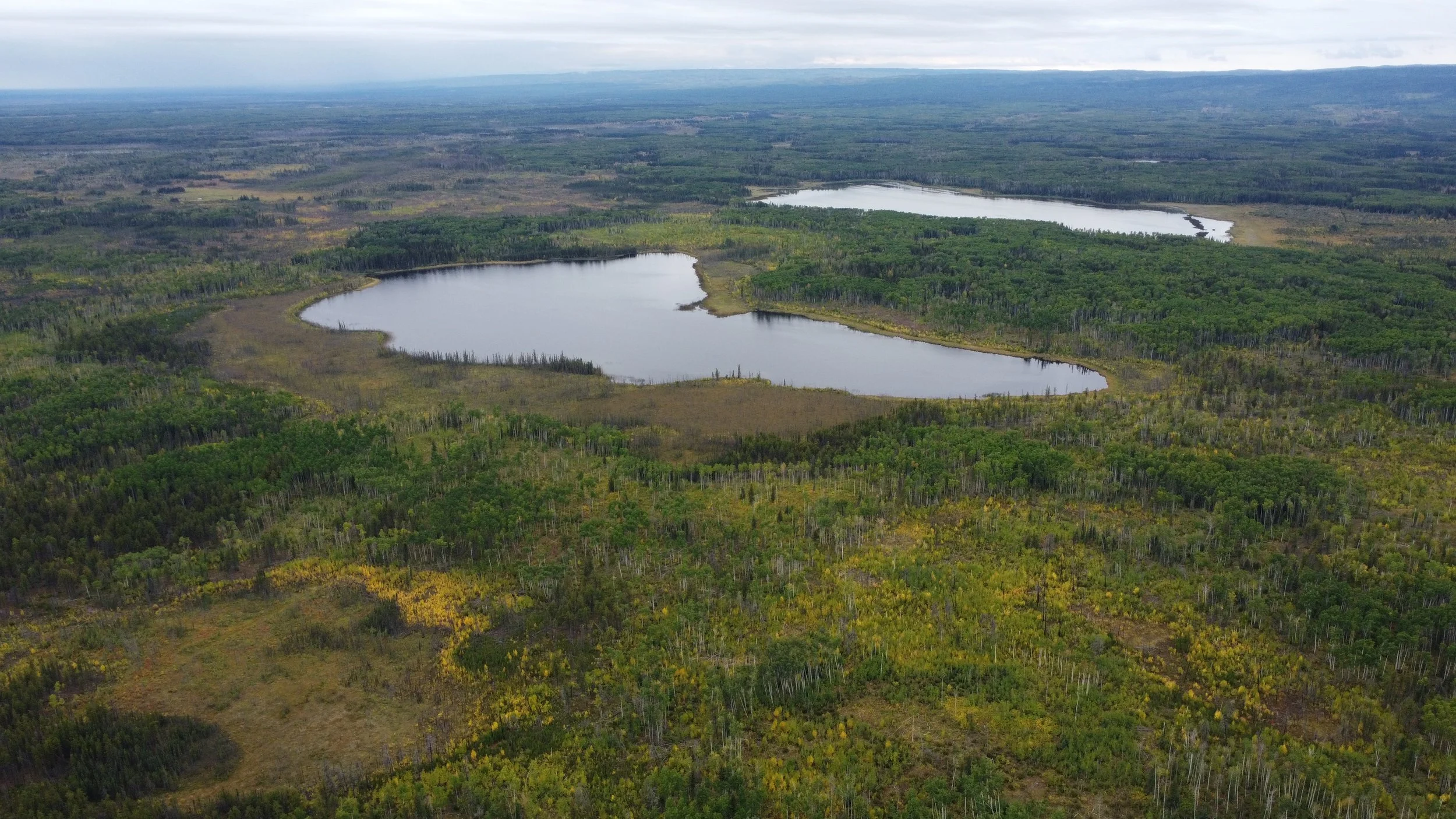 DJI_0328.JPG