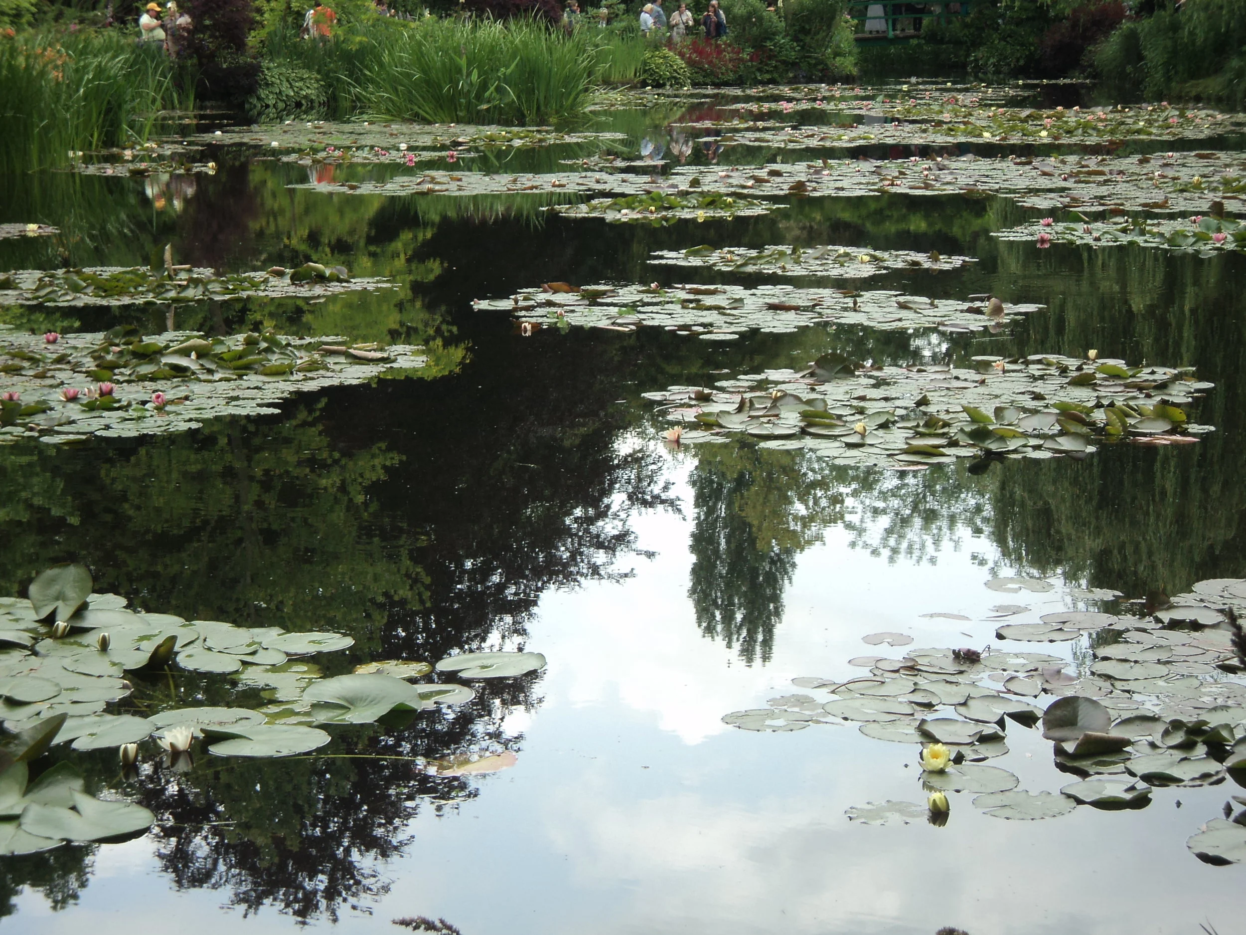 One of my pictures from Claude Monet's house in Giverny.