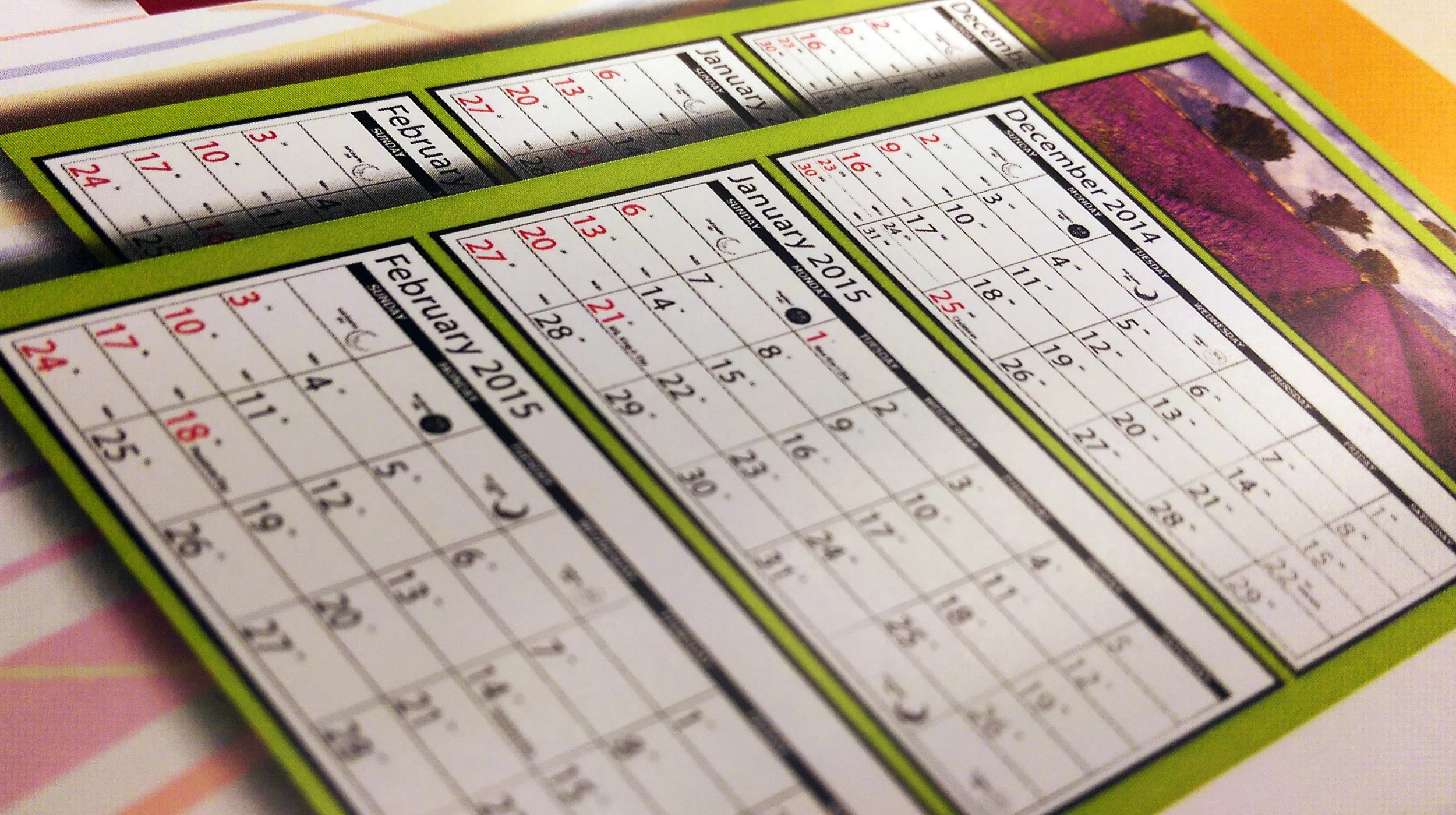 Season Calendar