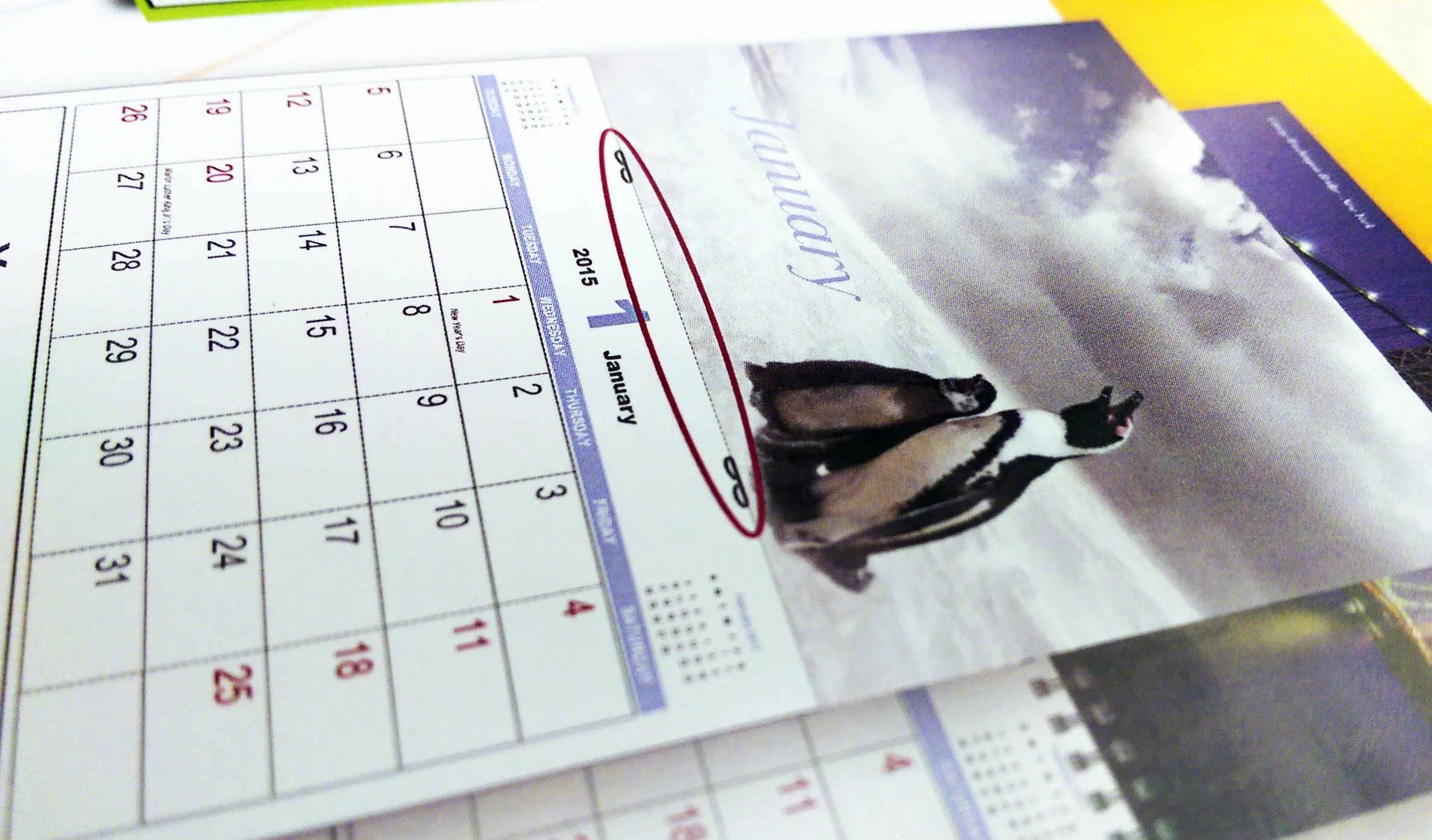Wall Calender