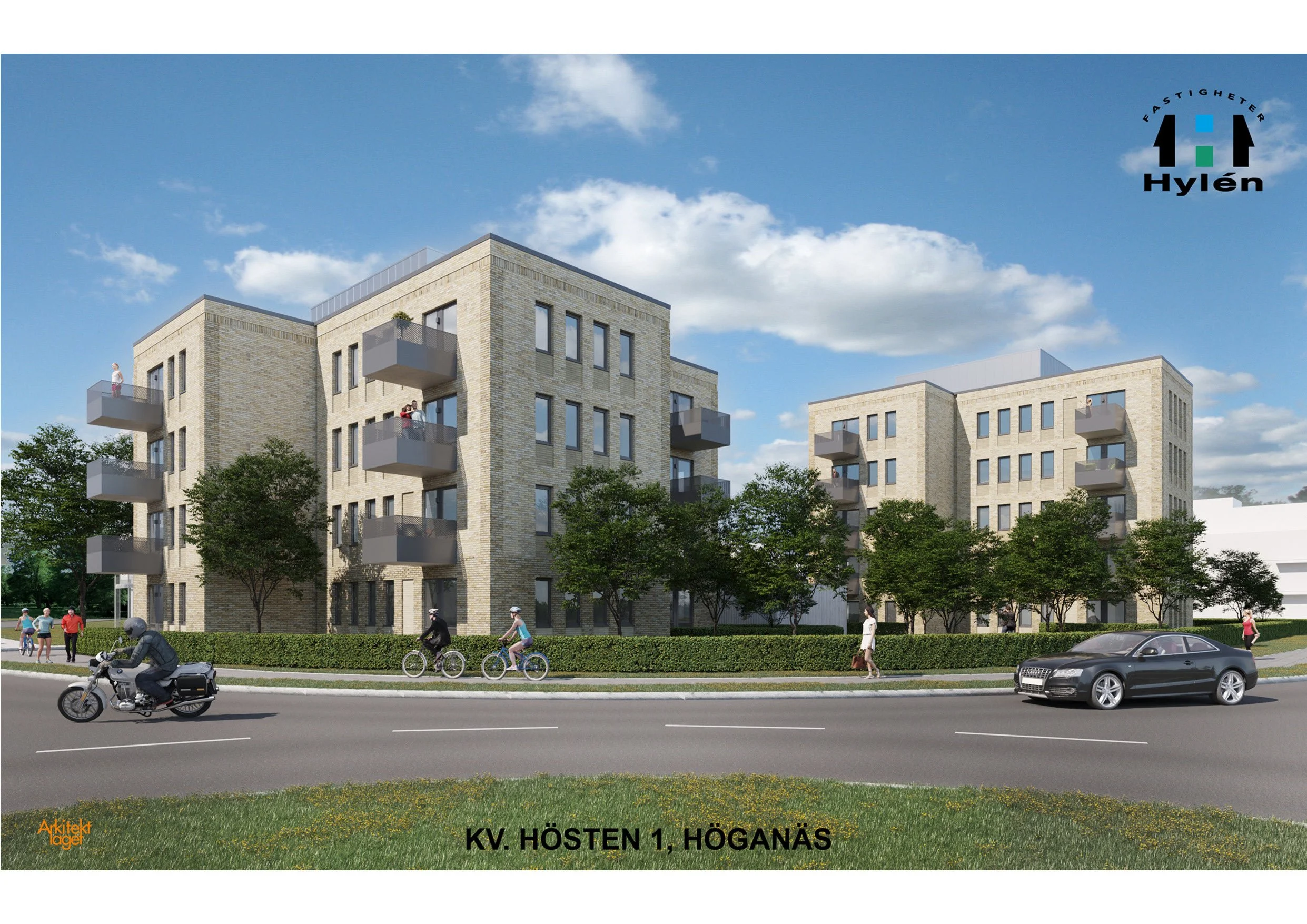 VY RONDELL_VARIANT 1.jpg