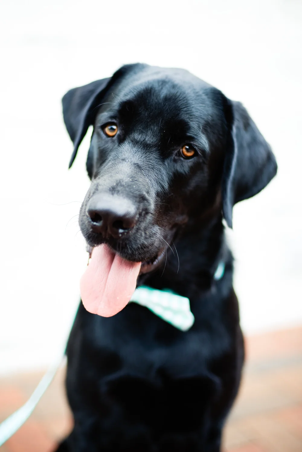 Serene Mind Counseling + Evaluations