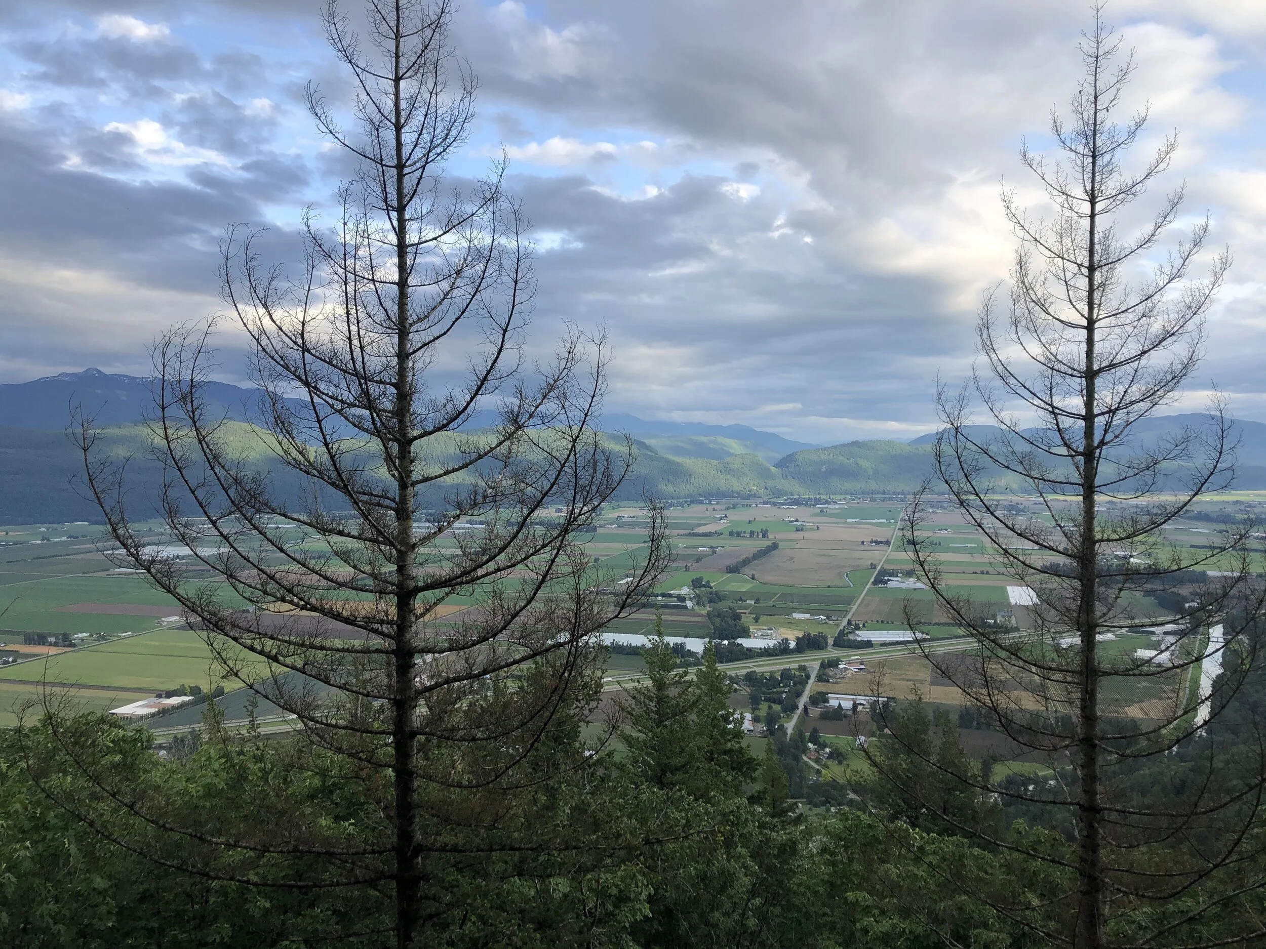 what a view.jpg