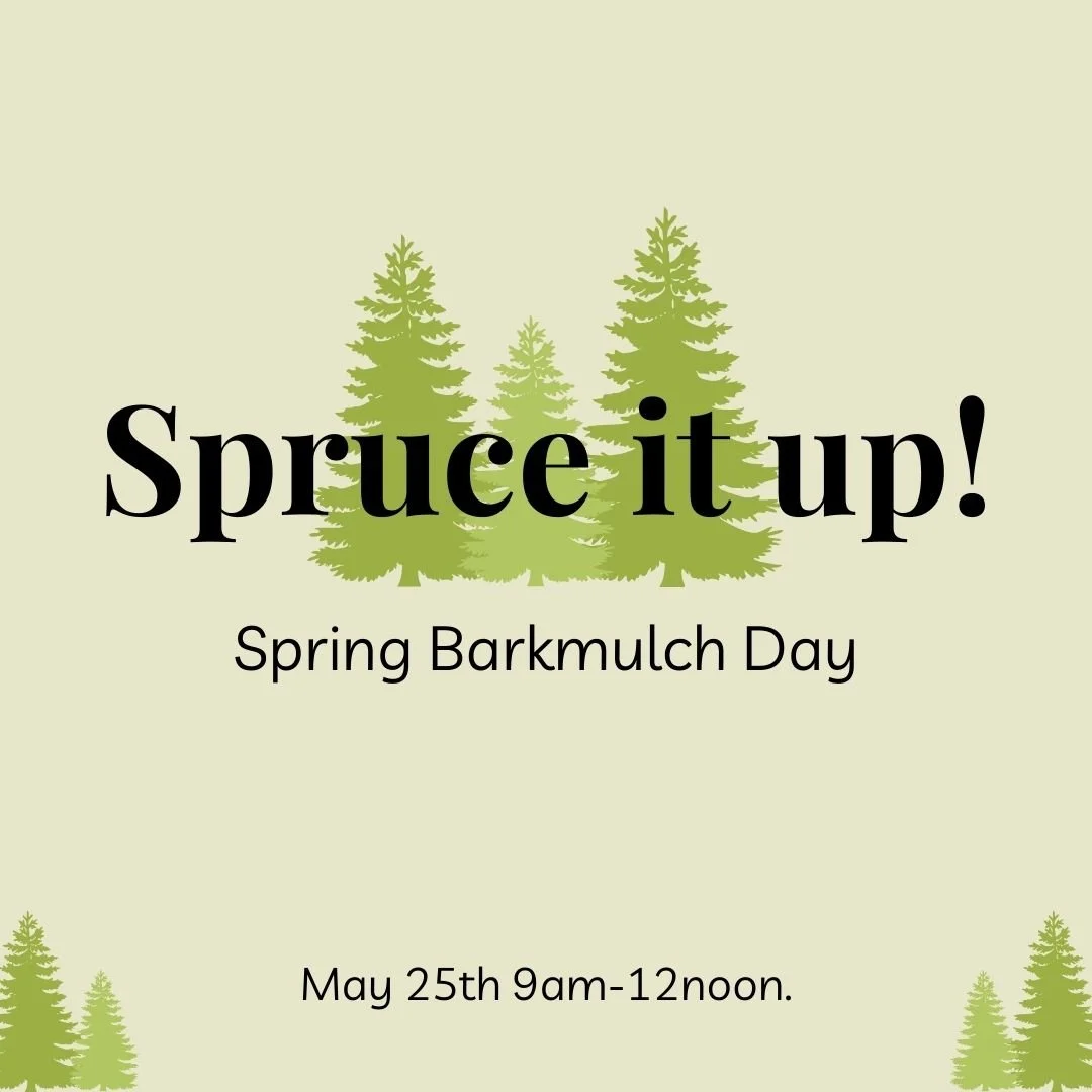Spruce it up! Spring Barkmulch Day