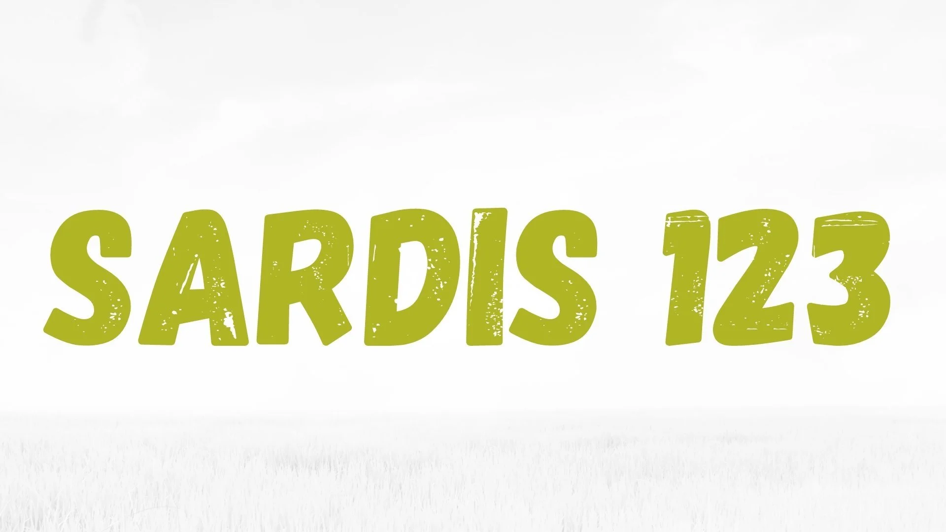 Sardis+123-2.jpg