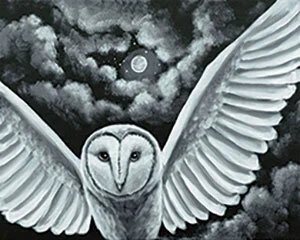 night_owl.jpg