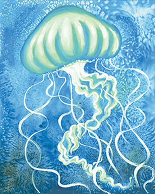 jellyfish.png