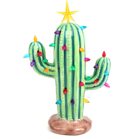 Christmas Cactus.png