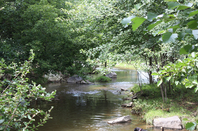 Saucony Creek, near Kutztown, PA