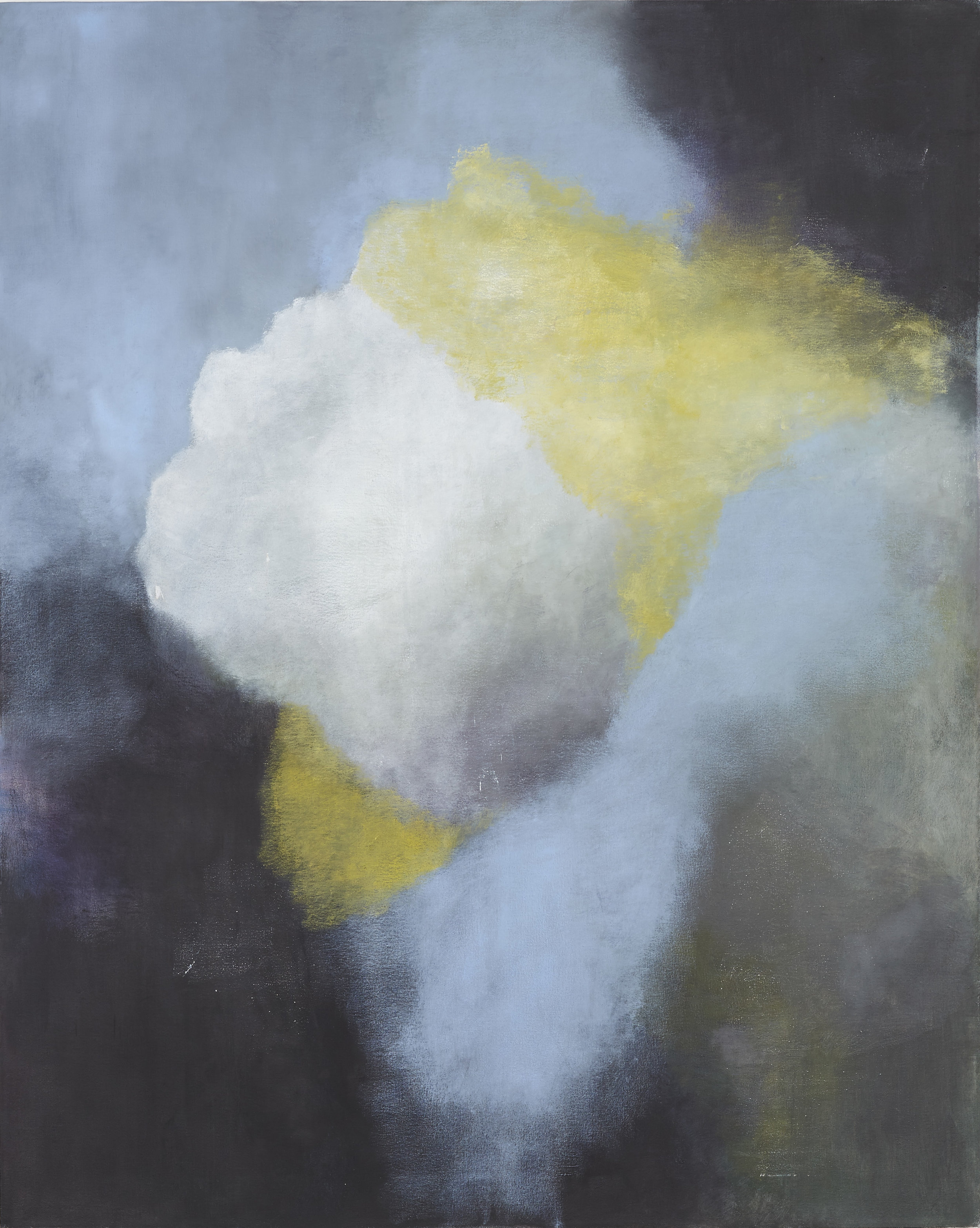 "Fungolo I" 40"x50" Oil on Canvas, 2016