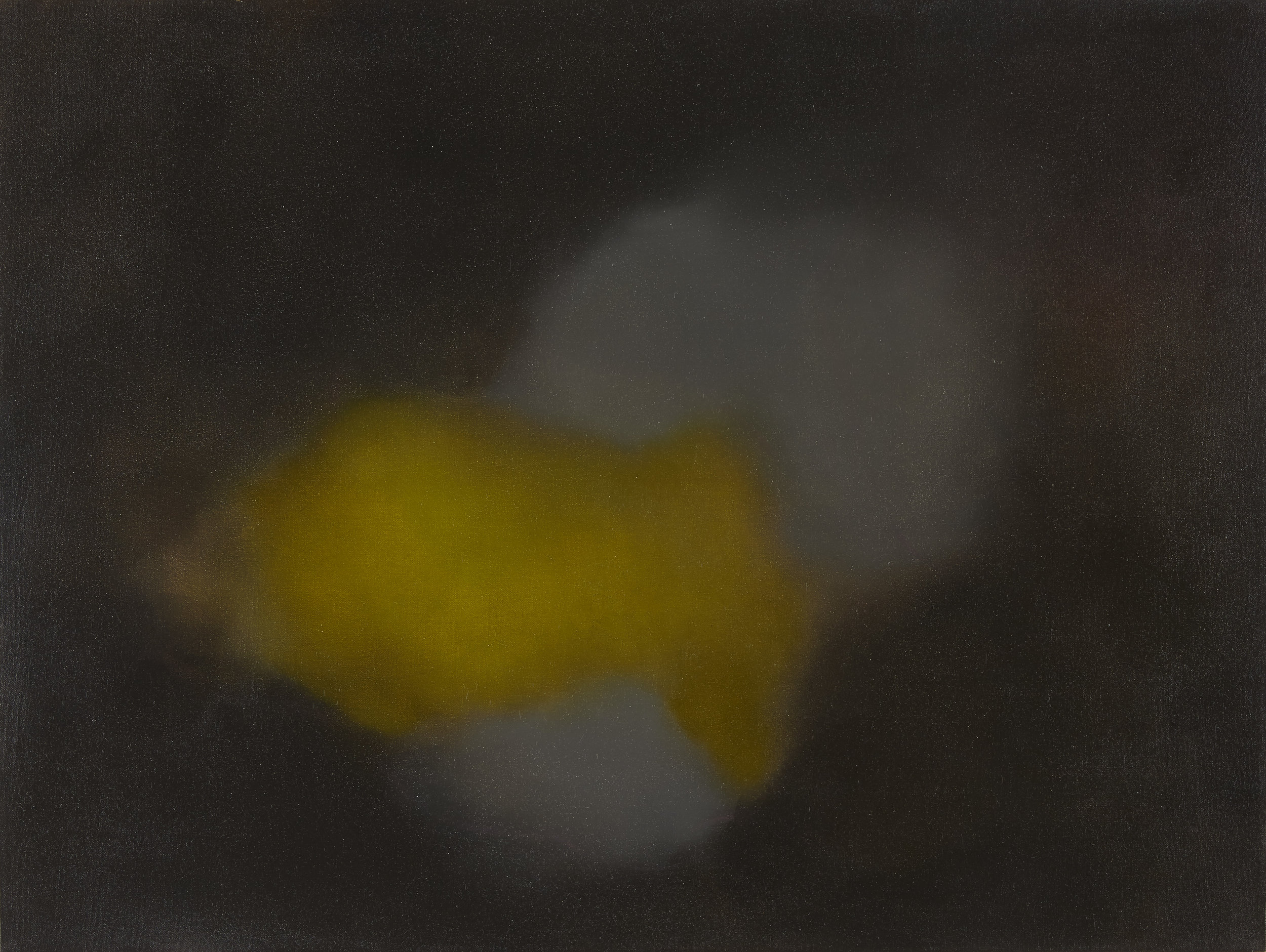 "Untitled" 28"x32" Oil on Canvas, 2016
