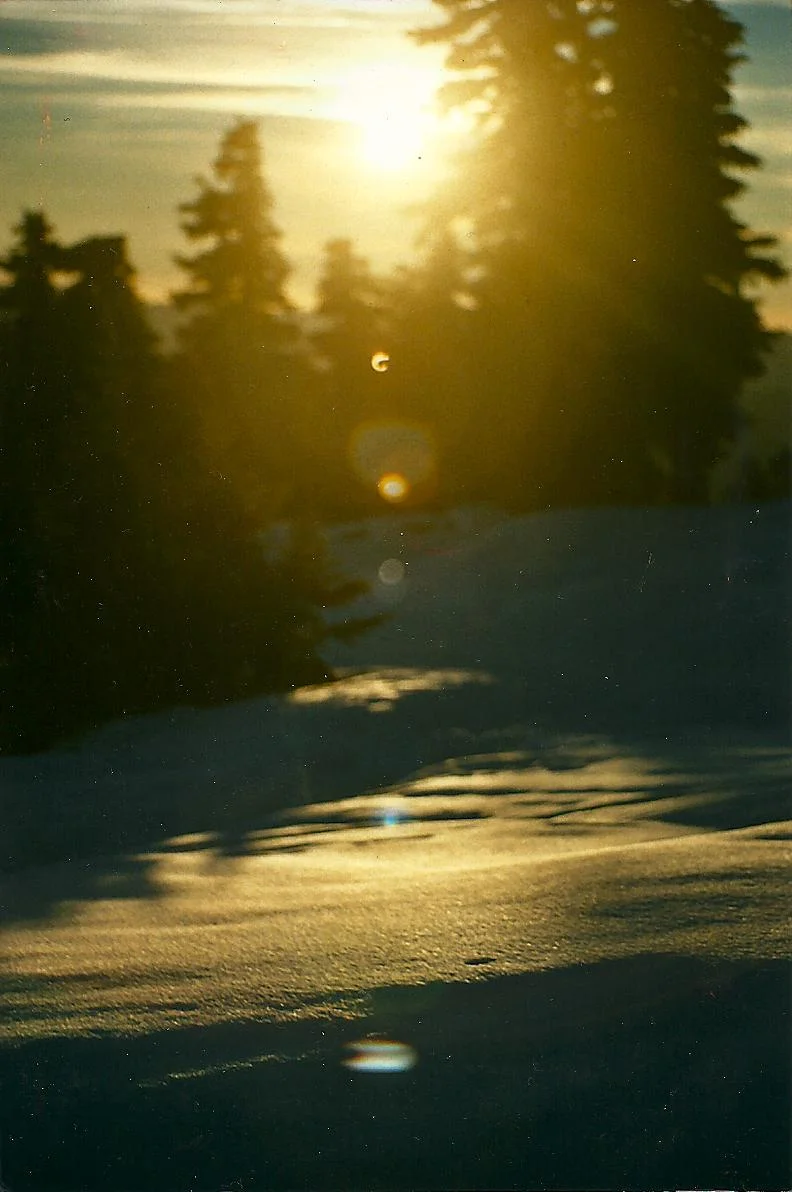 goldenhour.jpg