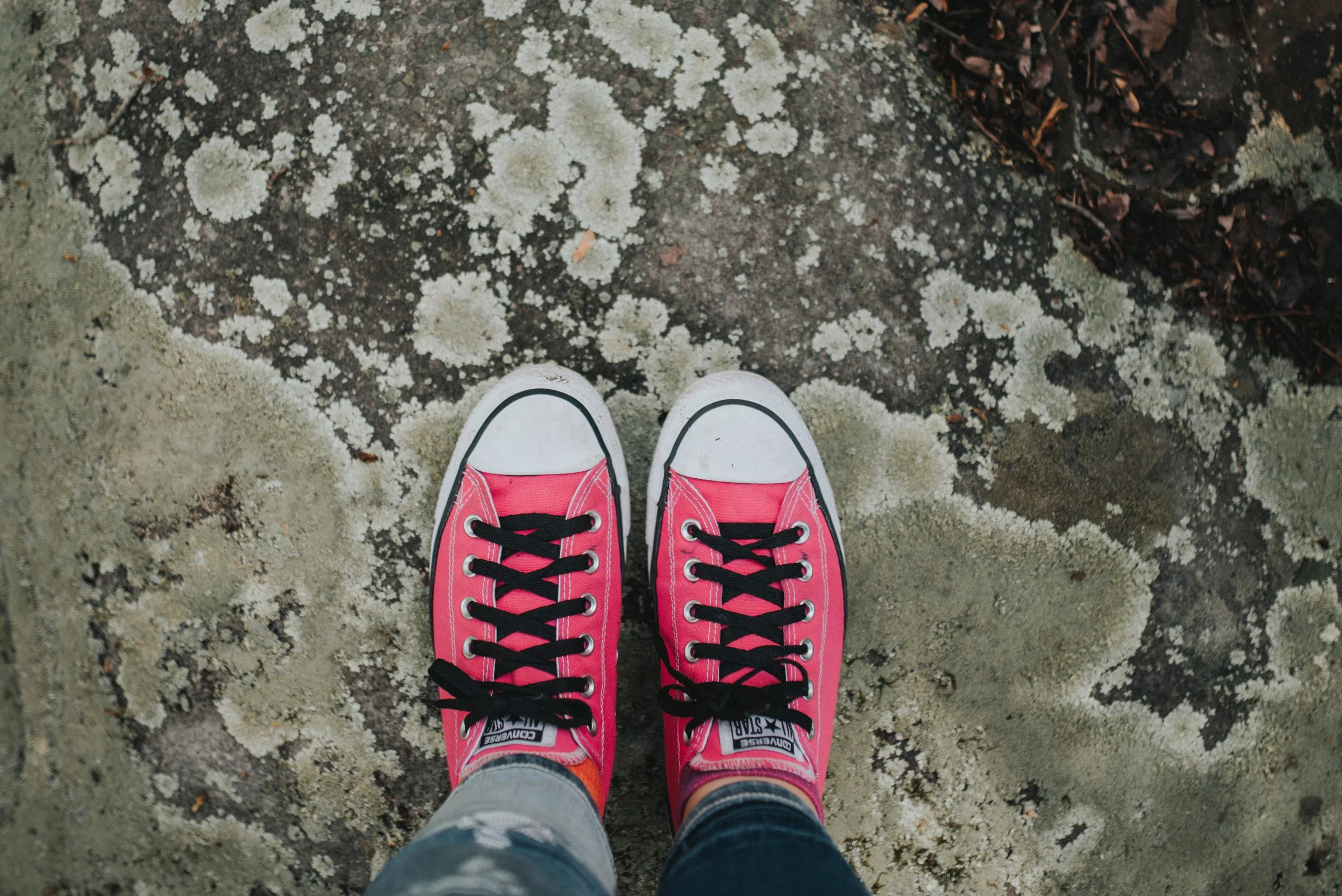 sandrachile-259666-unsplash.jpg