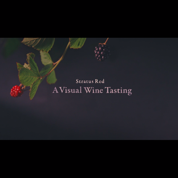 Screen Shot 2022-04-07 at 1.09.19 PM.png