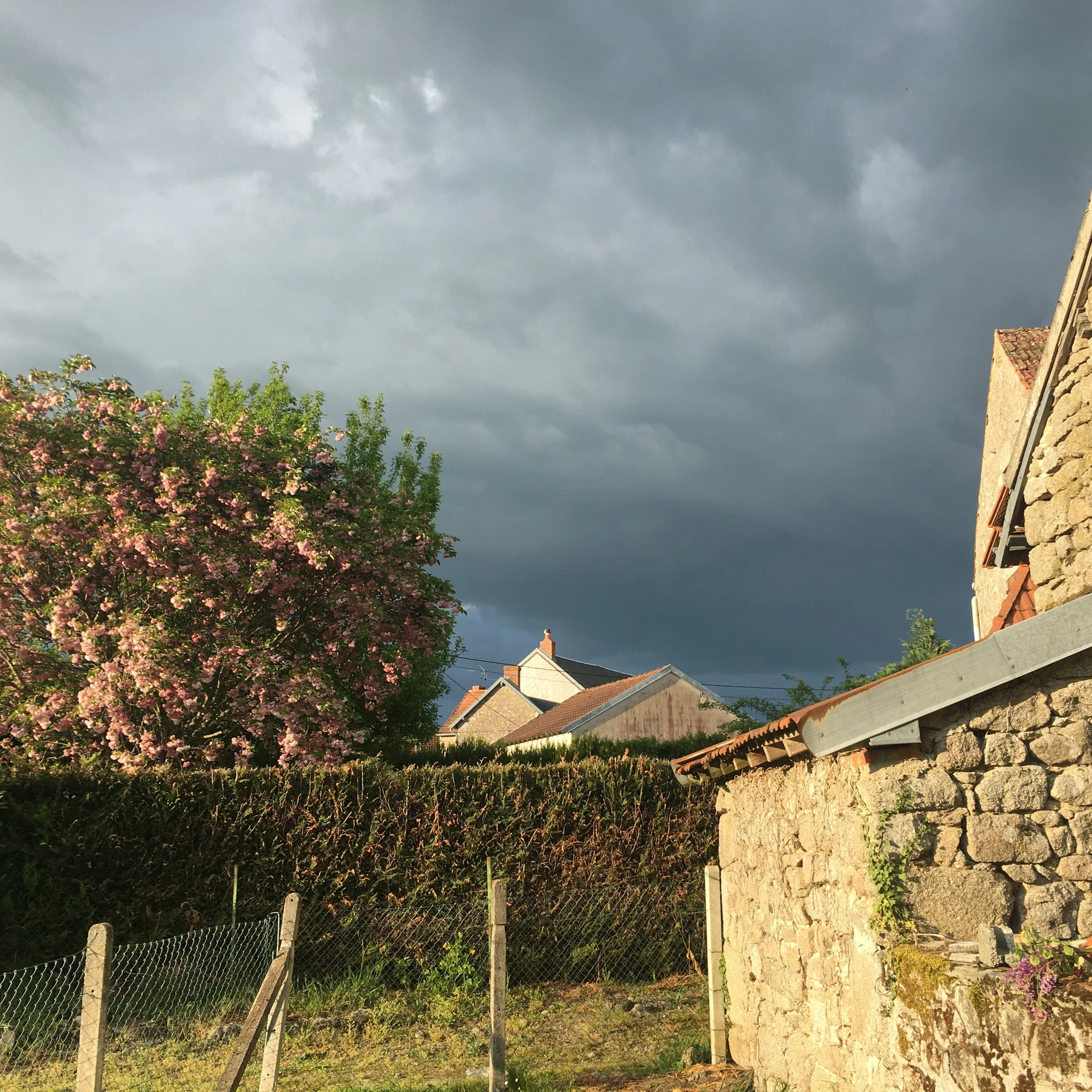 Juchefaux Storm