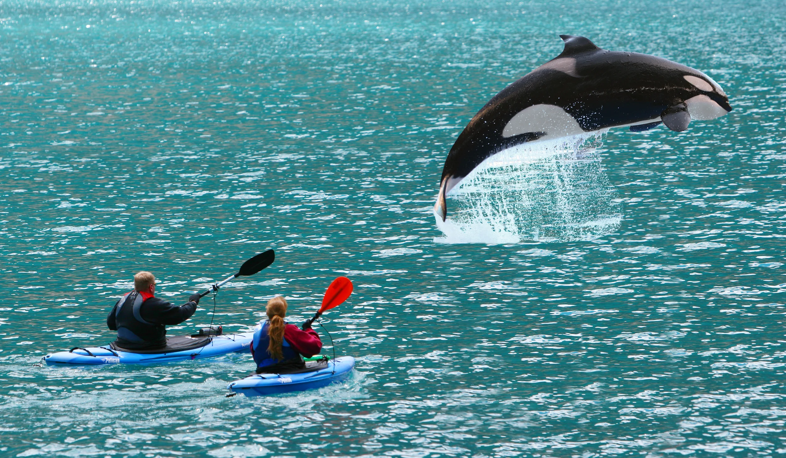 New ‘Bucket List’ Kayak Adventure Offered at Gowlland Harbour Resort!
