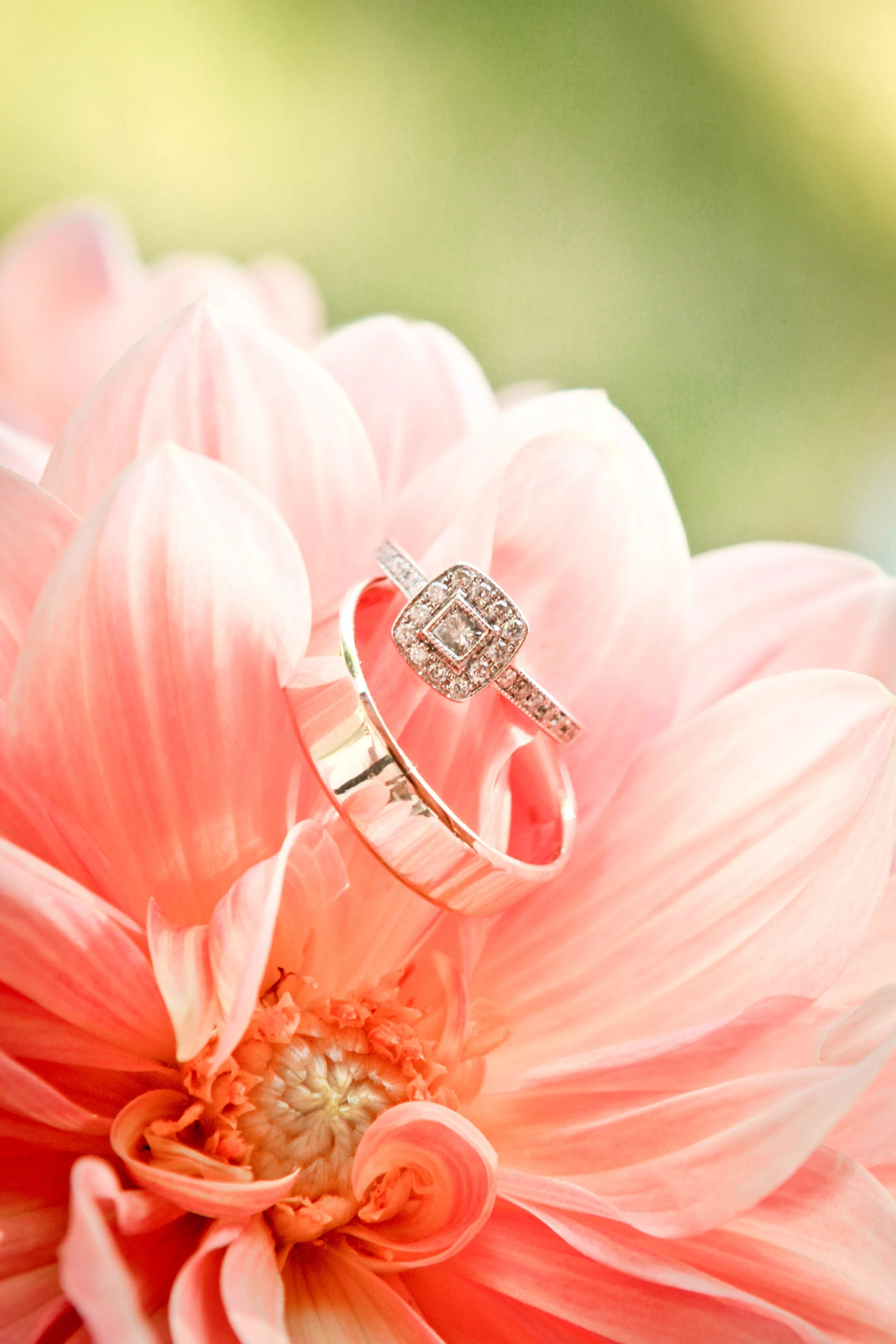 IMG_1511.jpg