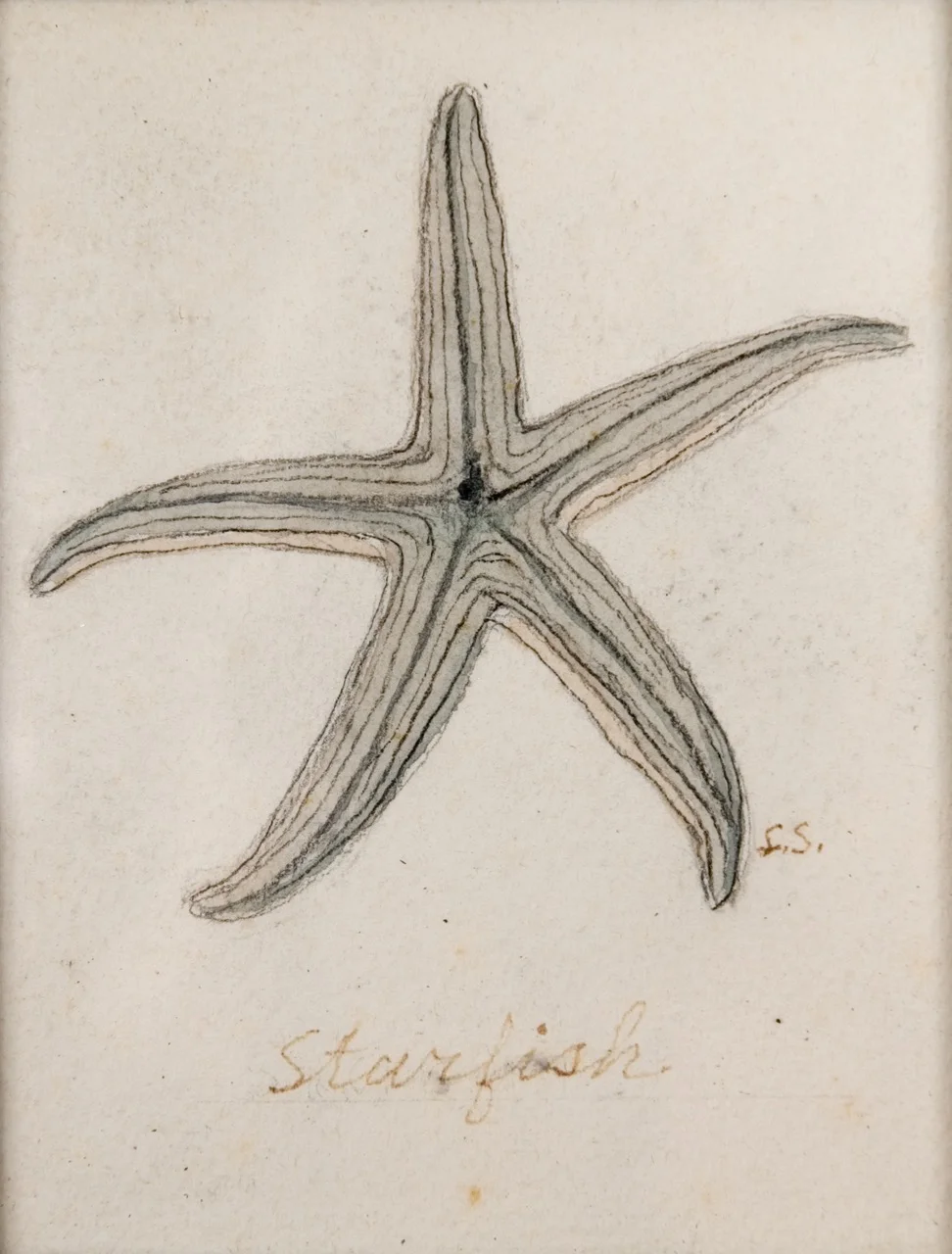 Stultz_060.jpg