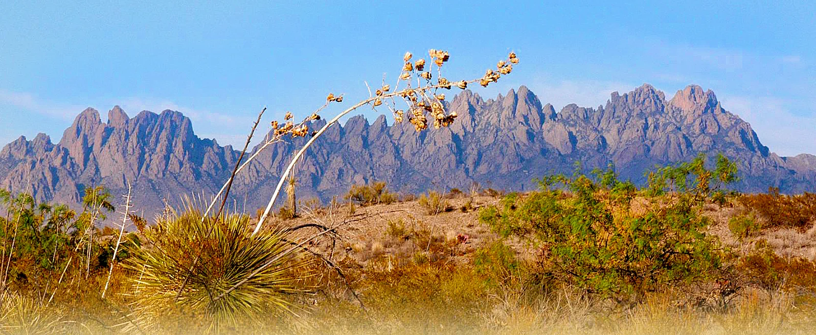 Oregon-Mountains-Las-Cruces-new-mexico-NMTourismDepartment.jpg