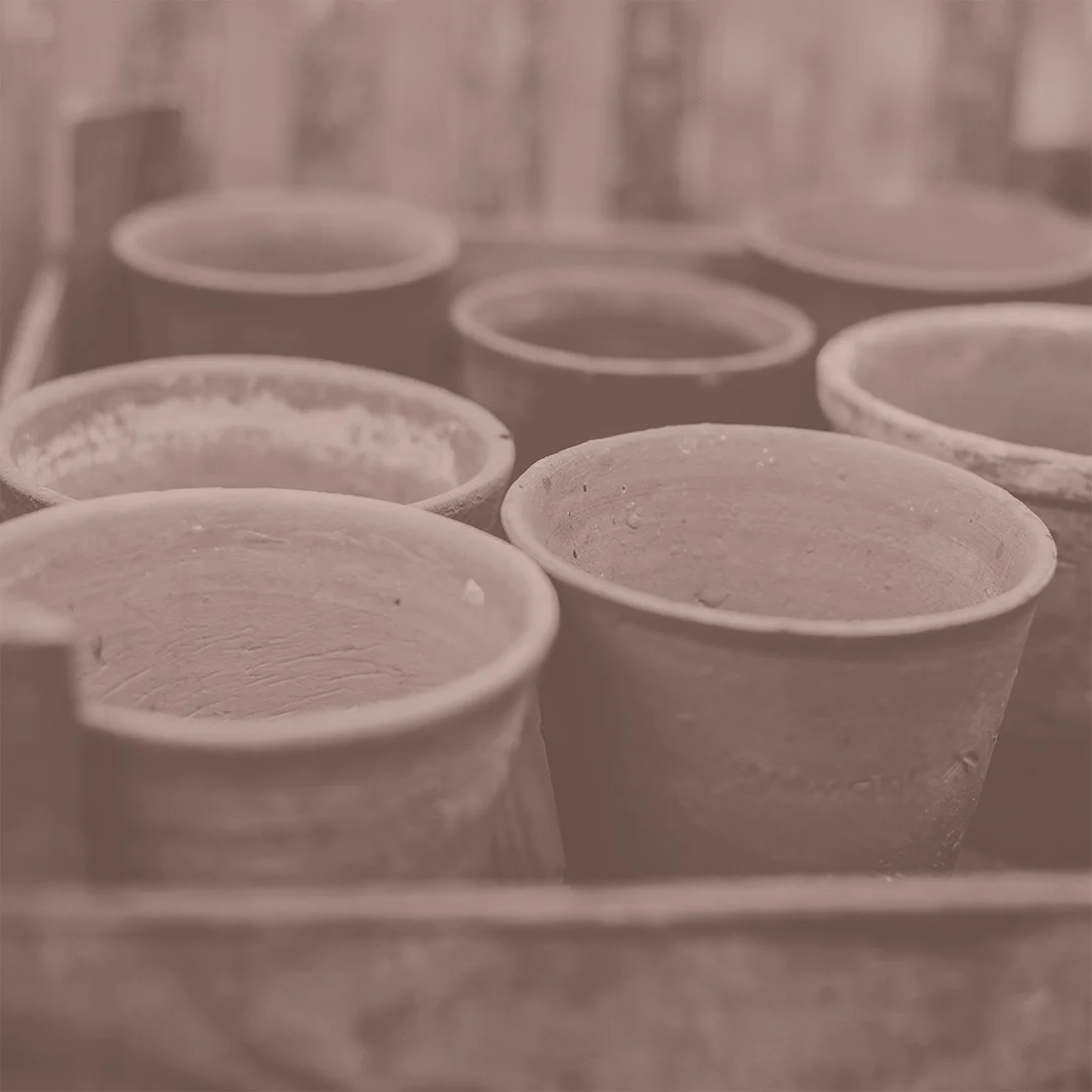 SPEAK STRONG - Stop Complaining